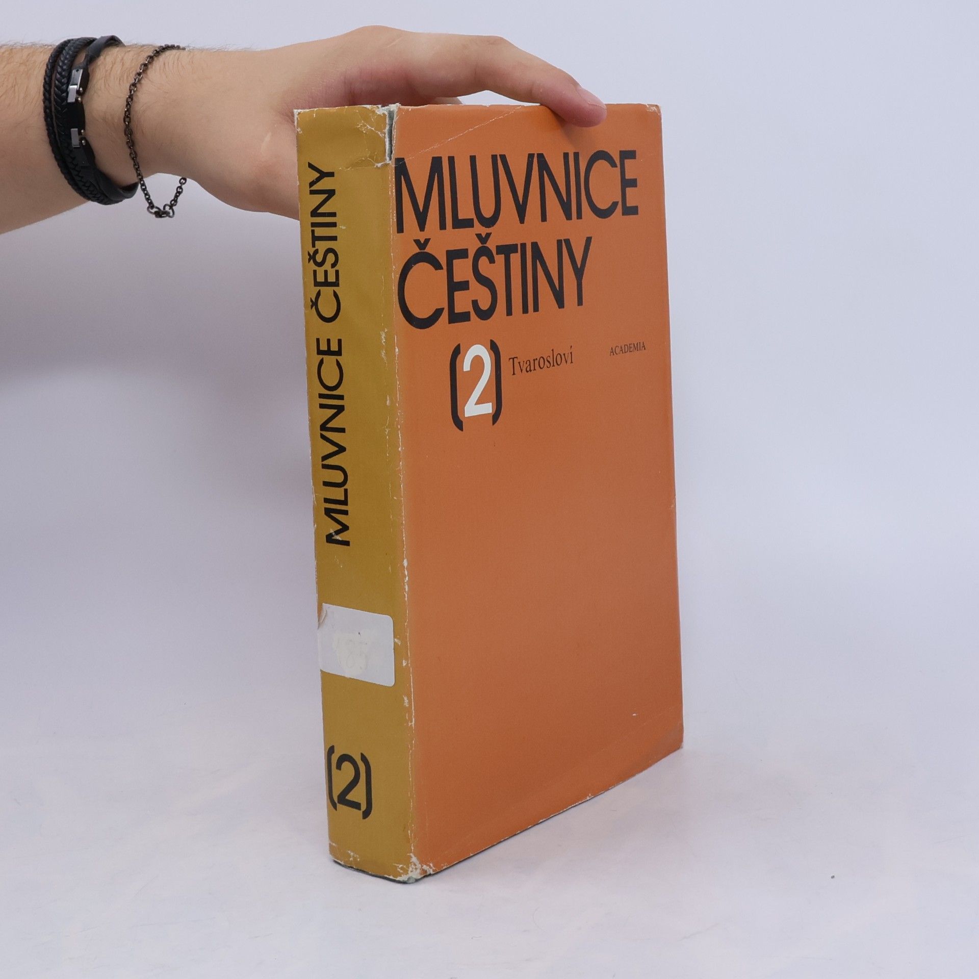 Various authors Mluvnice češtiny. Díl 2. Tvarosloví