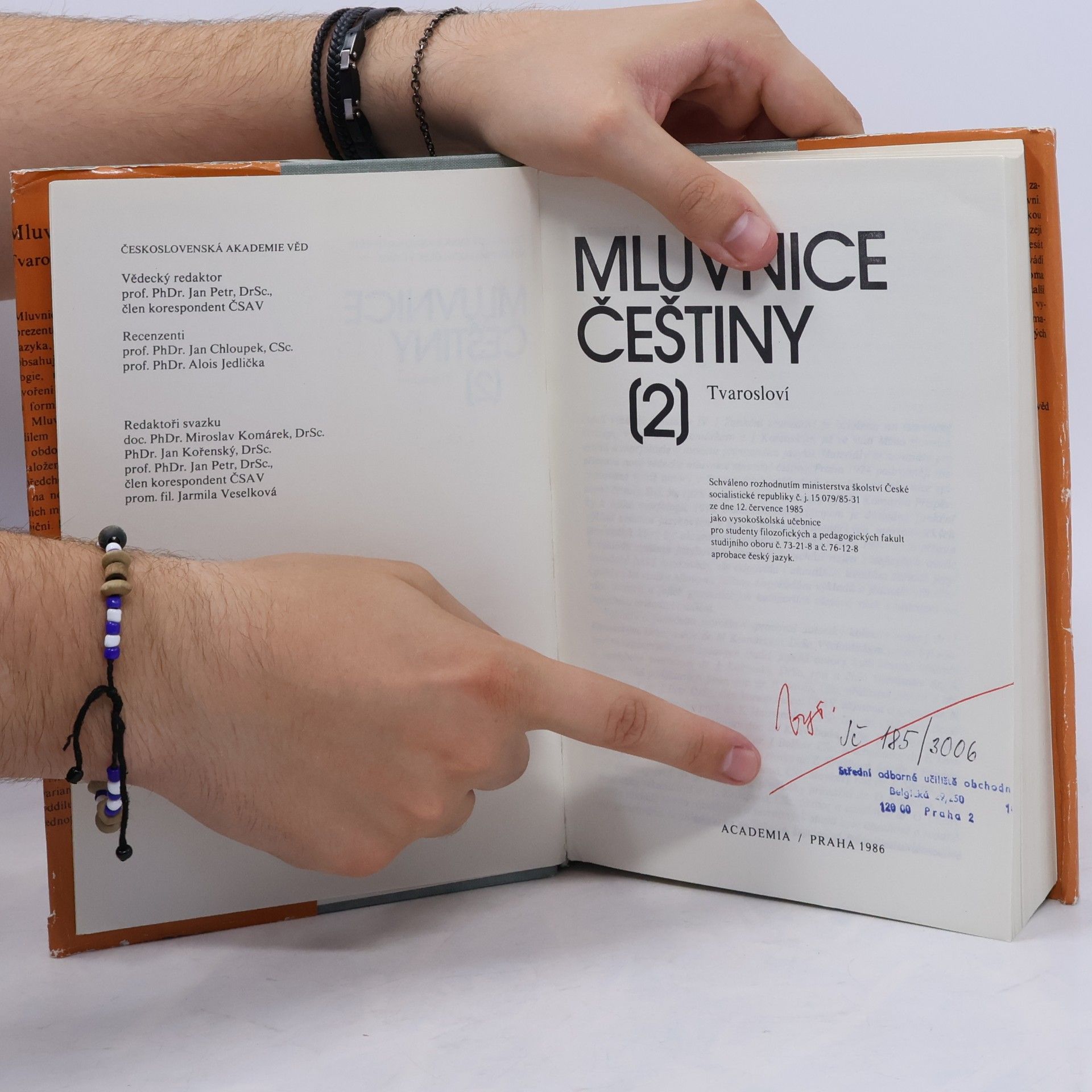 Various authors Mluvnice češtiny. Díl 2. Tvarosloví