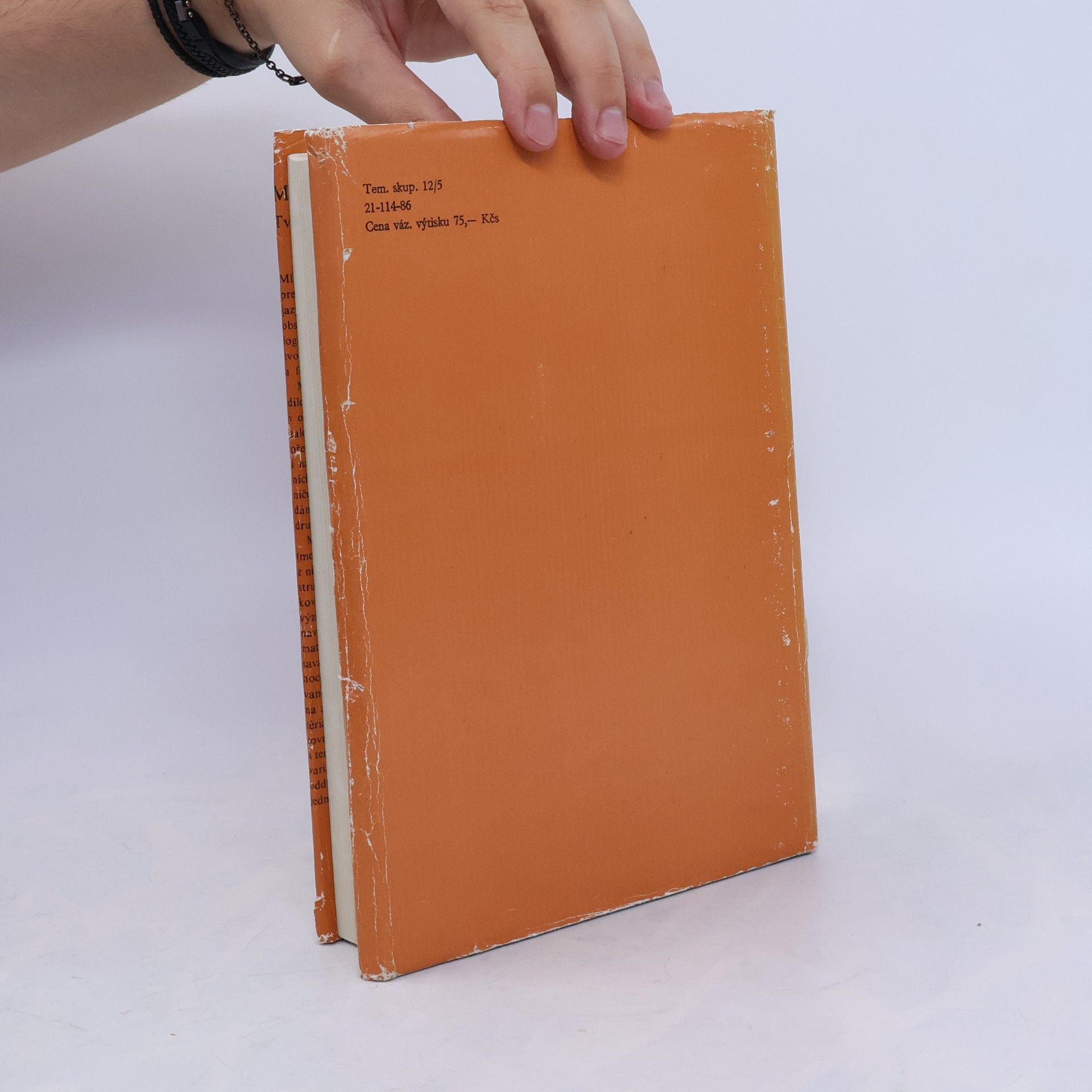 Various authors Mluvnice češtiny. Díl 2. Tvarosloví