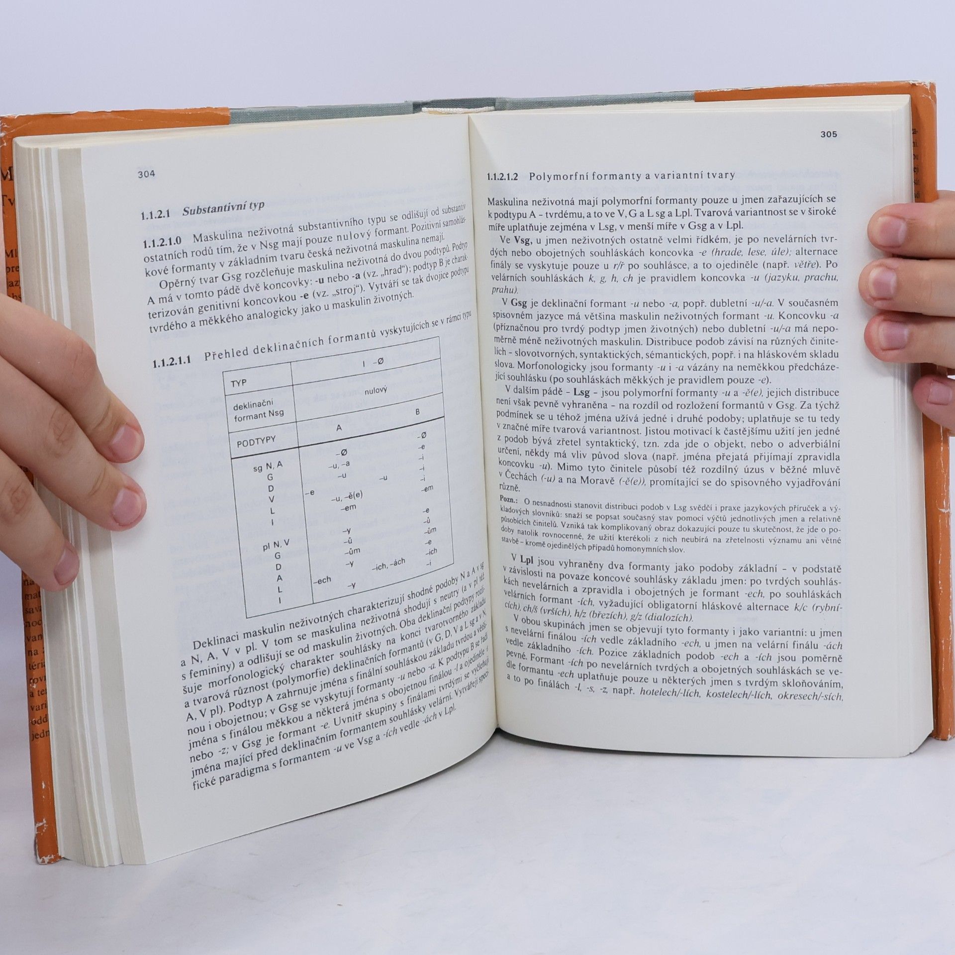 Various authors Mluvnice češtiny. Díl 2. Tvarosloví