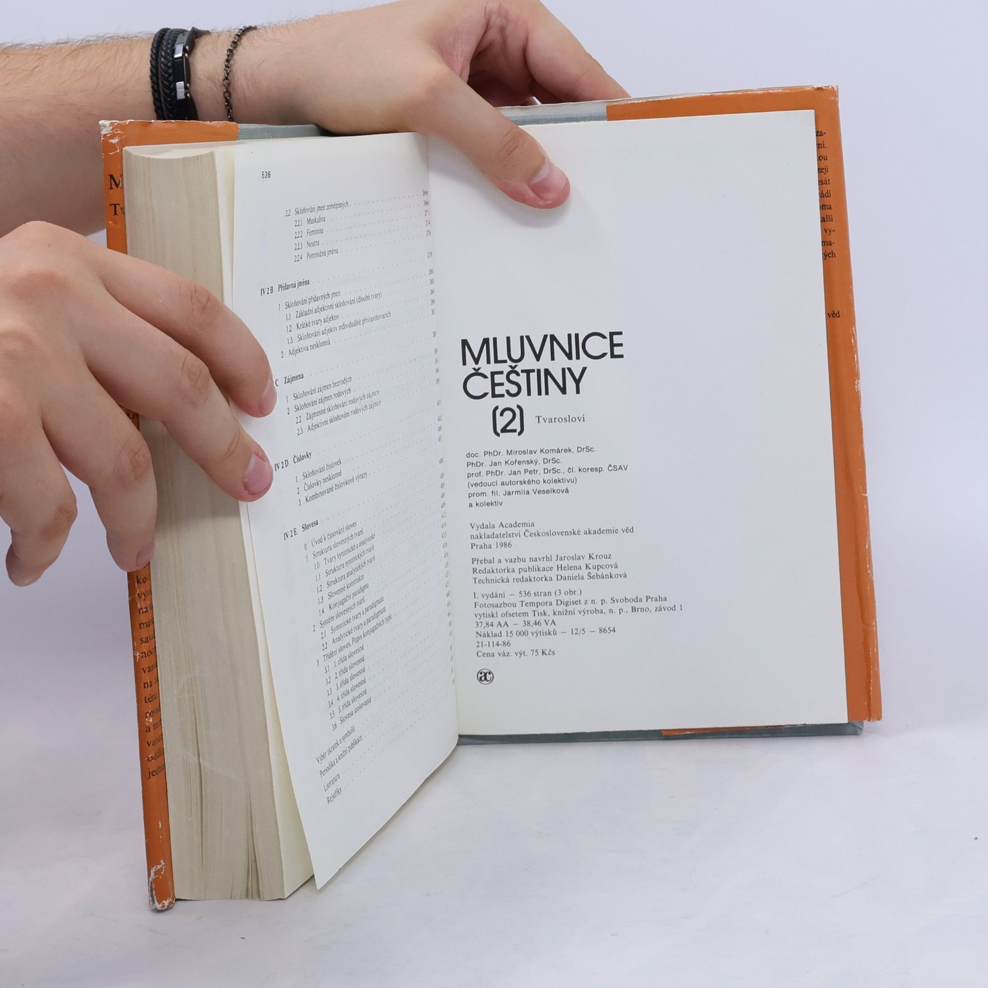 Various authors Mluvnice češtiny. Díl 2. Tvarosloví