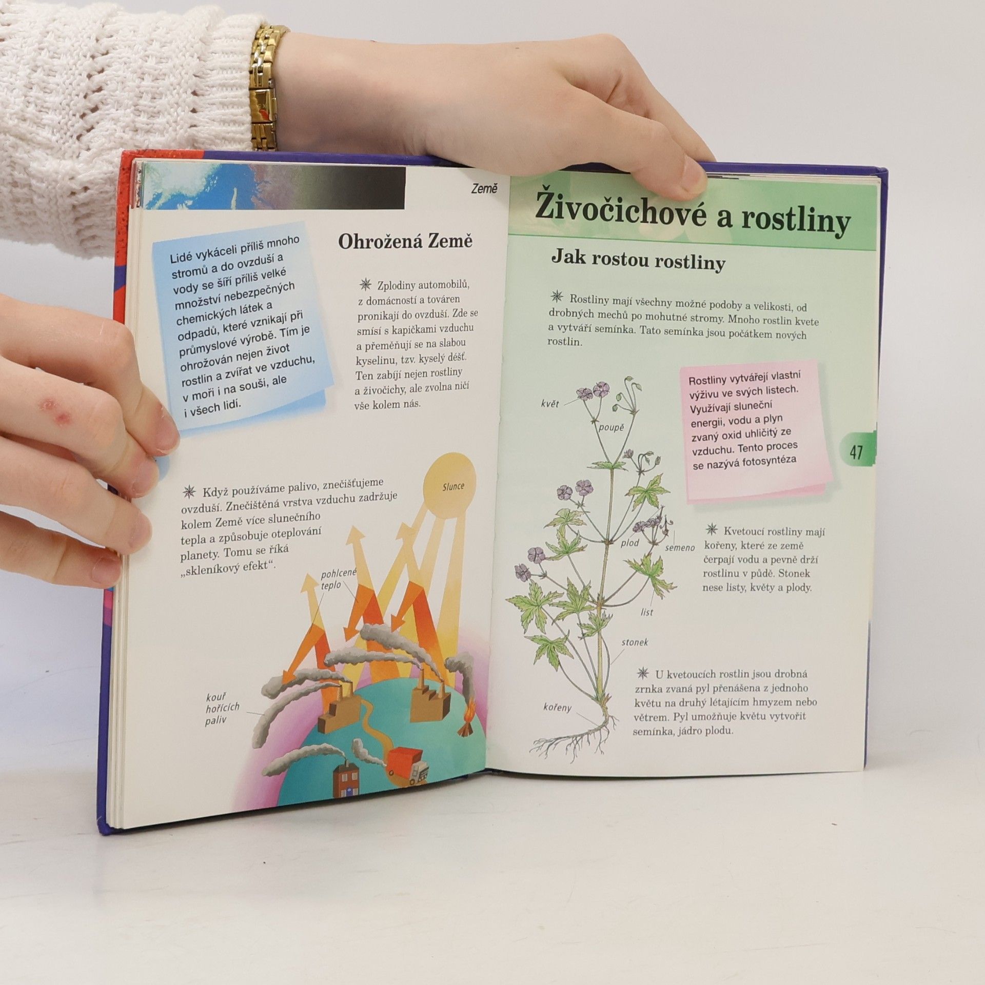 Autores varios Rozum do batůžku pro (před)školáky: Tisíce informací v malíčku pro děti od čtyř let