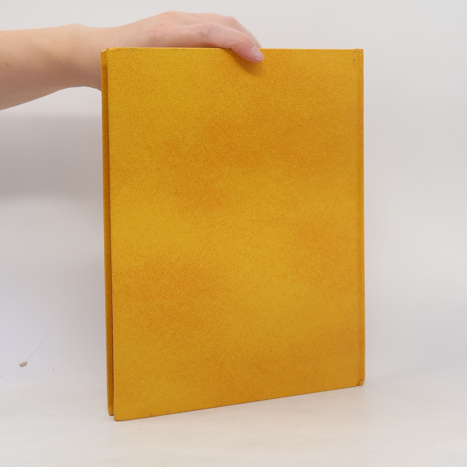 Autorenkollektiv Mein Buch mit biblischen Geschichten