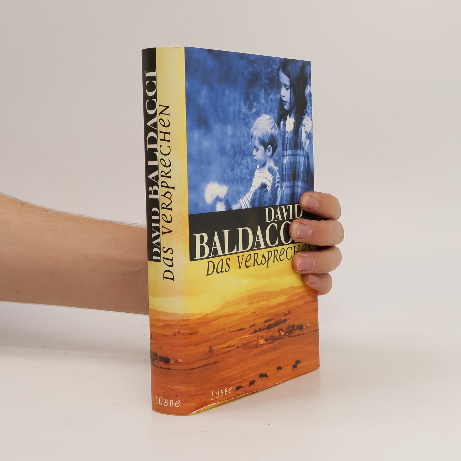David Baldacci Das Versprechen