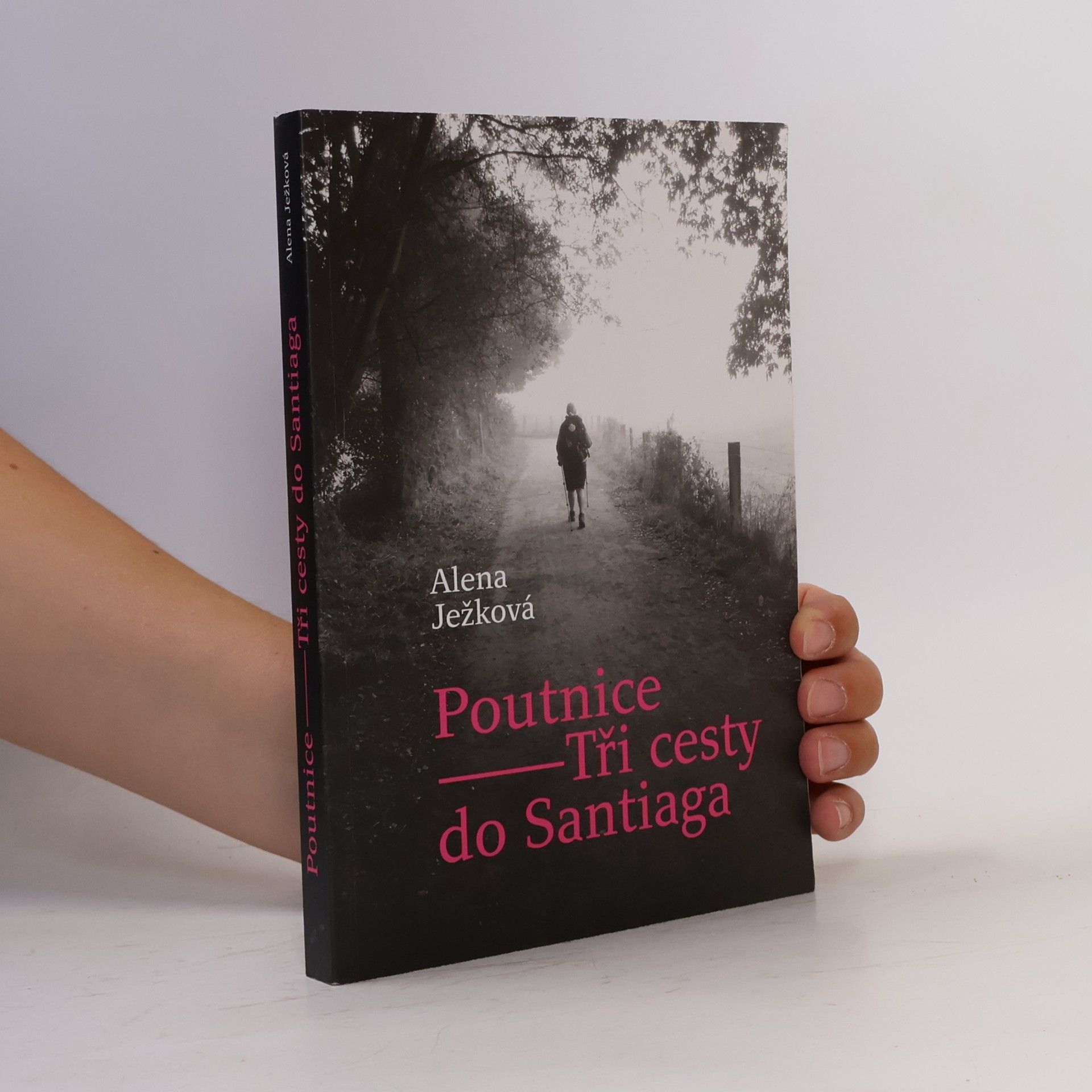 Alena Ježková Poutnice: Tři cesty do Santiaga