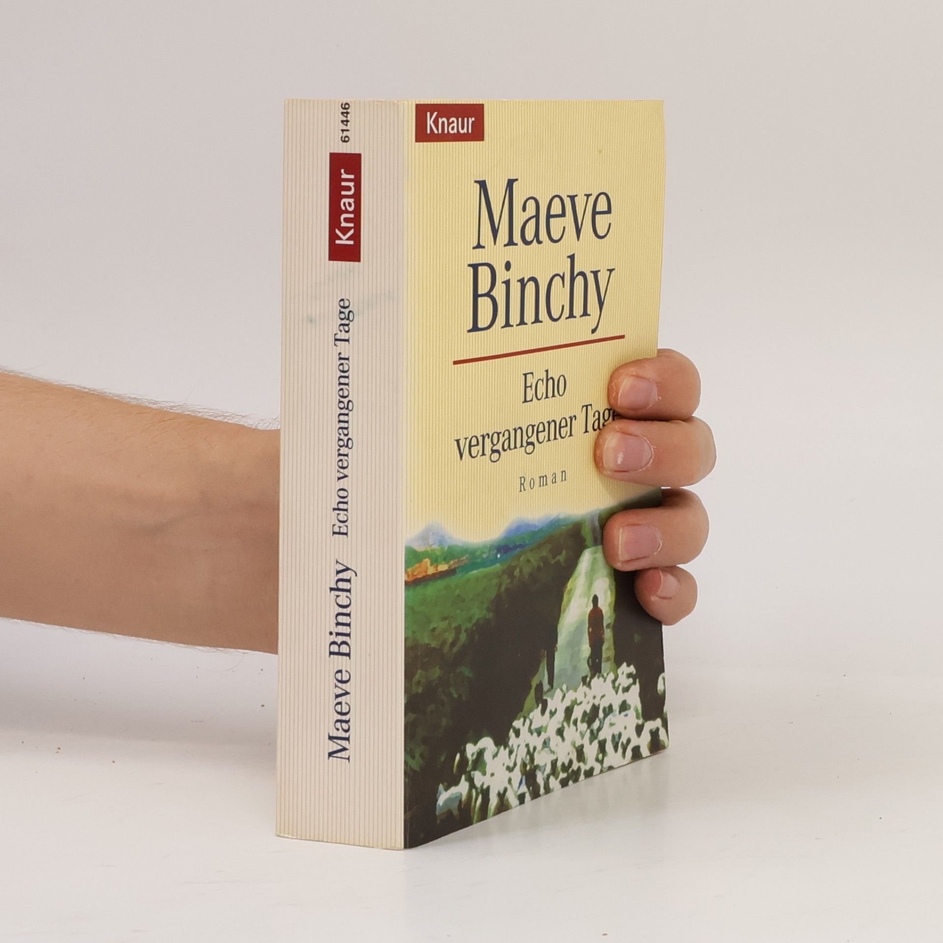 Maeve Binchy Echo vergangener Tage