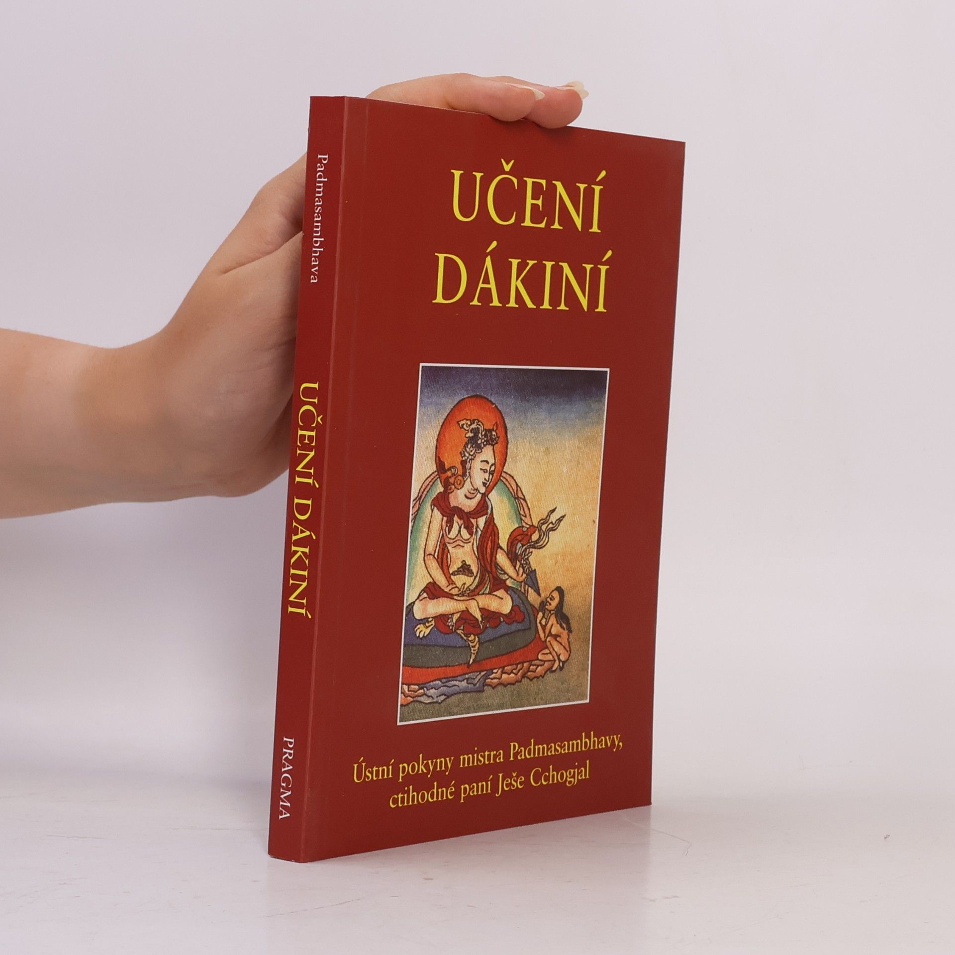 Učení dákiní : ústní pokyny mistra Padmasambhavy ctihodné paní Ješe Cchogjal