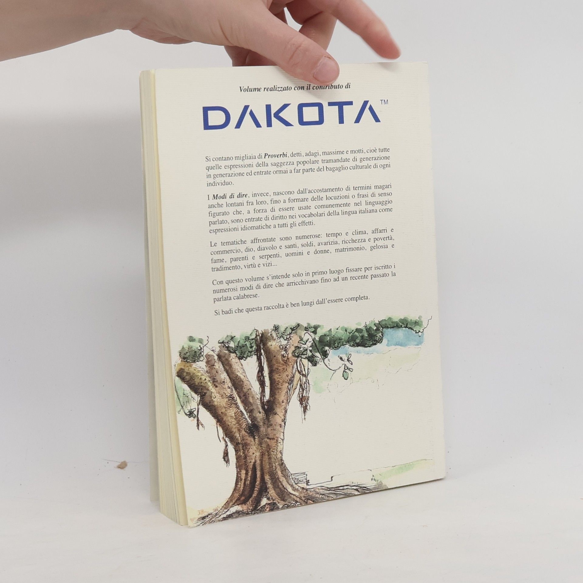 Autorenkollektiv Detti, modi di dire e proverbi Calabresi