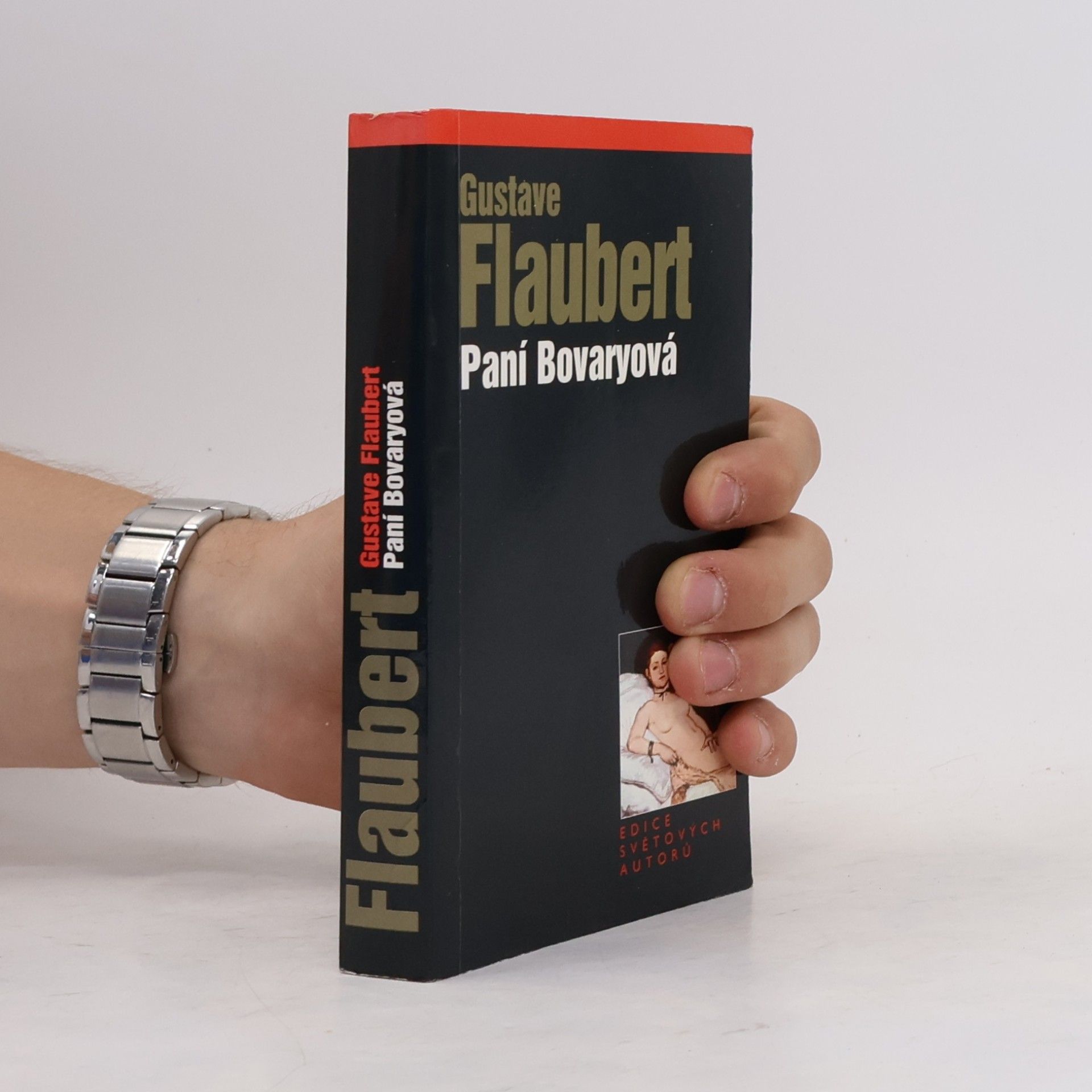 Gustave Flaubert Paní Bovaryová