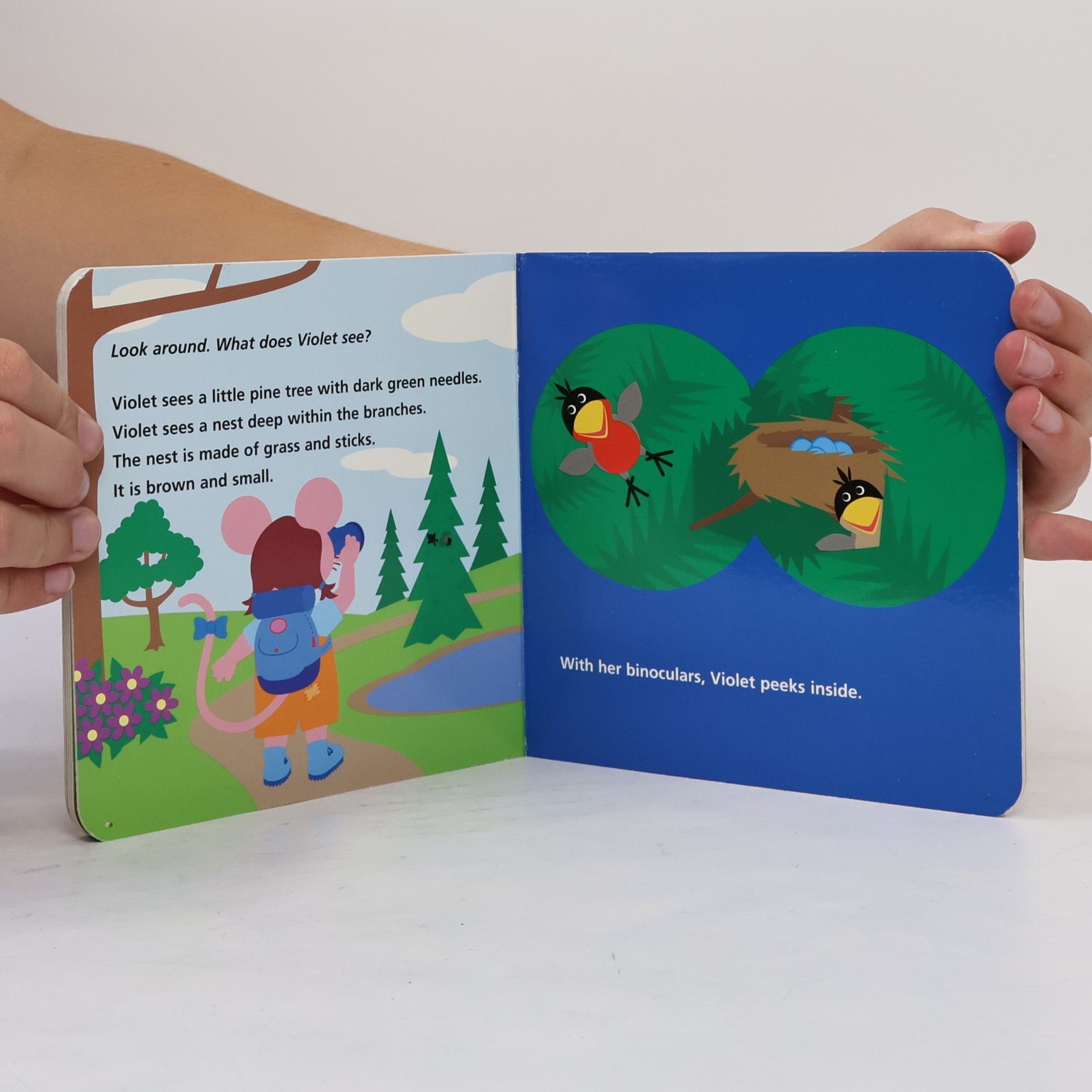 Julie Aigner-Clark Baby Einstein: What Does Violet See? Birds and Nests