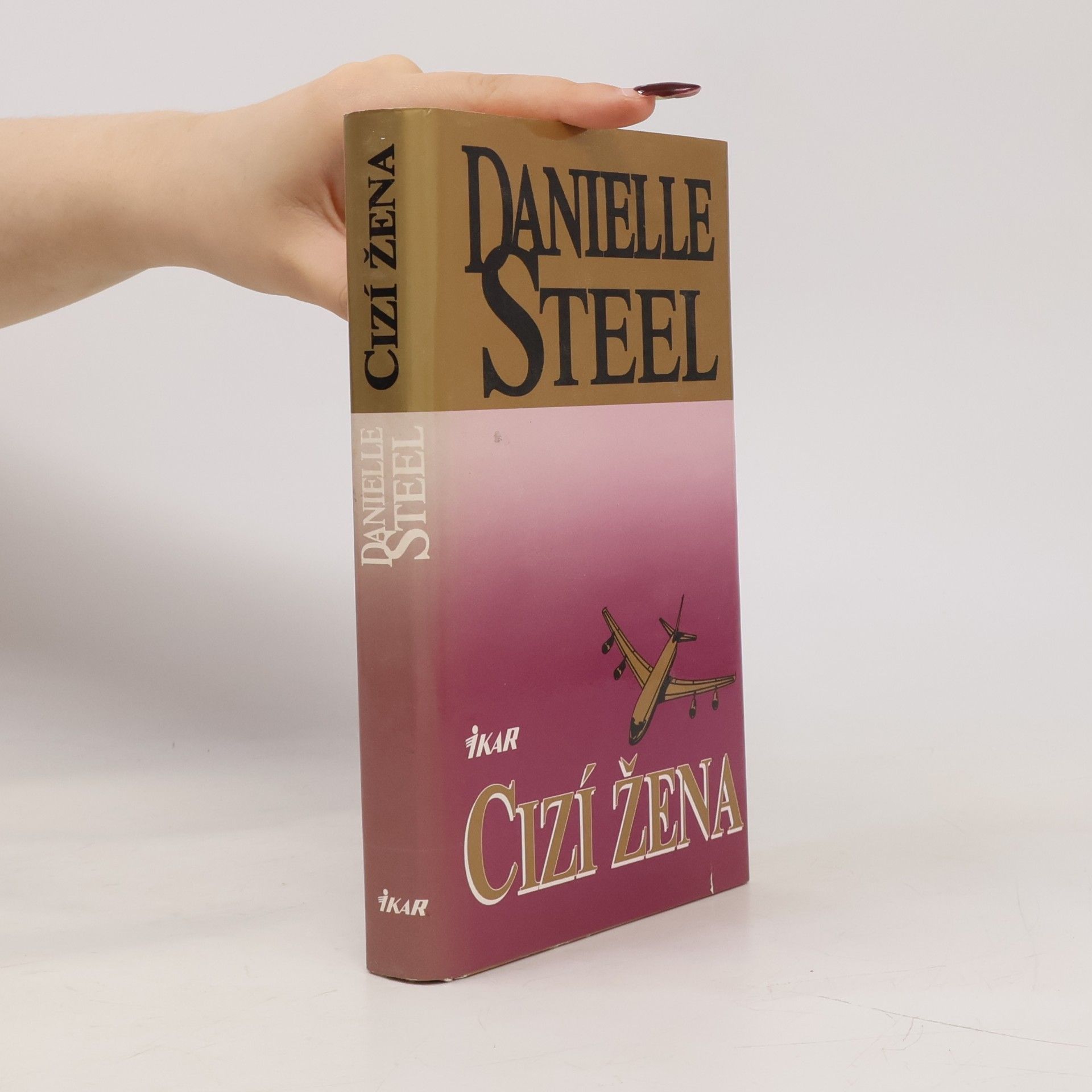 Danielle Steel Cizí žena
