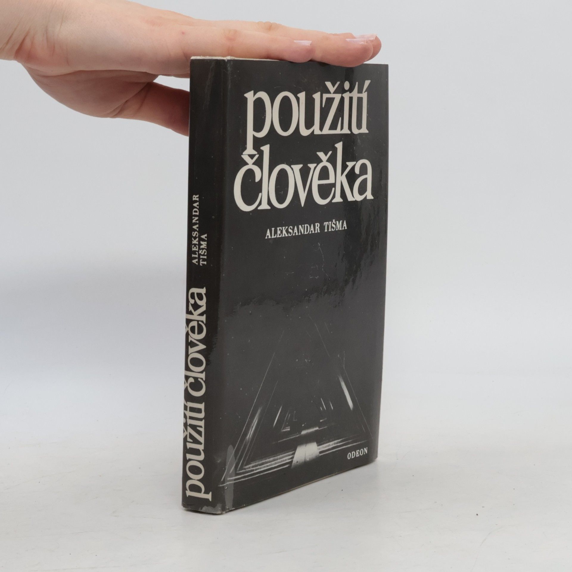 Aleksandar Tišma Použití člověka