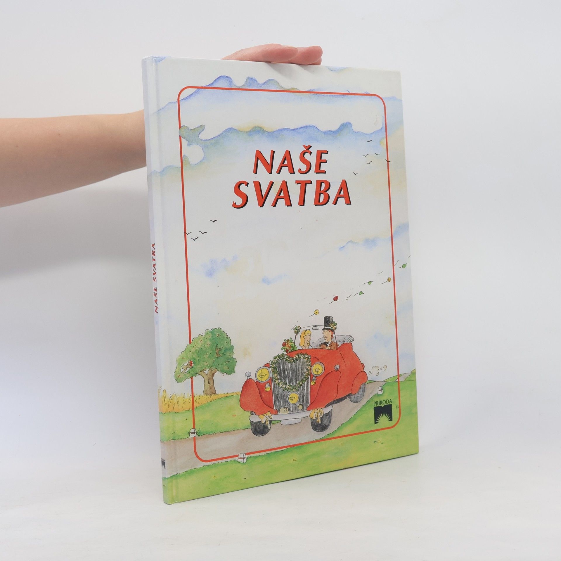 Kolektiv autorů Naše svatba