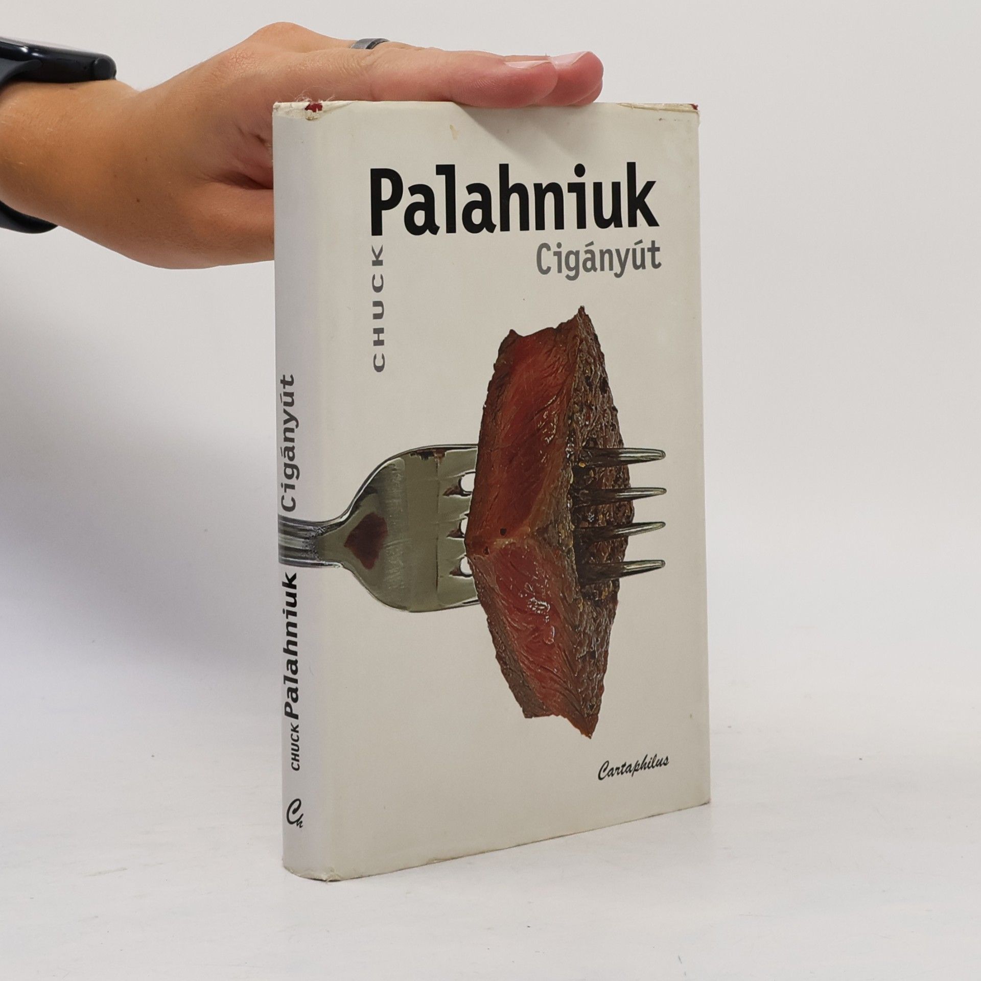 Chuck Palahniuk Cigányút