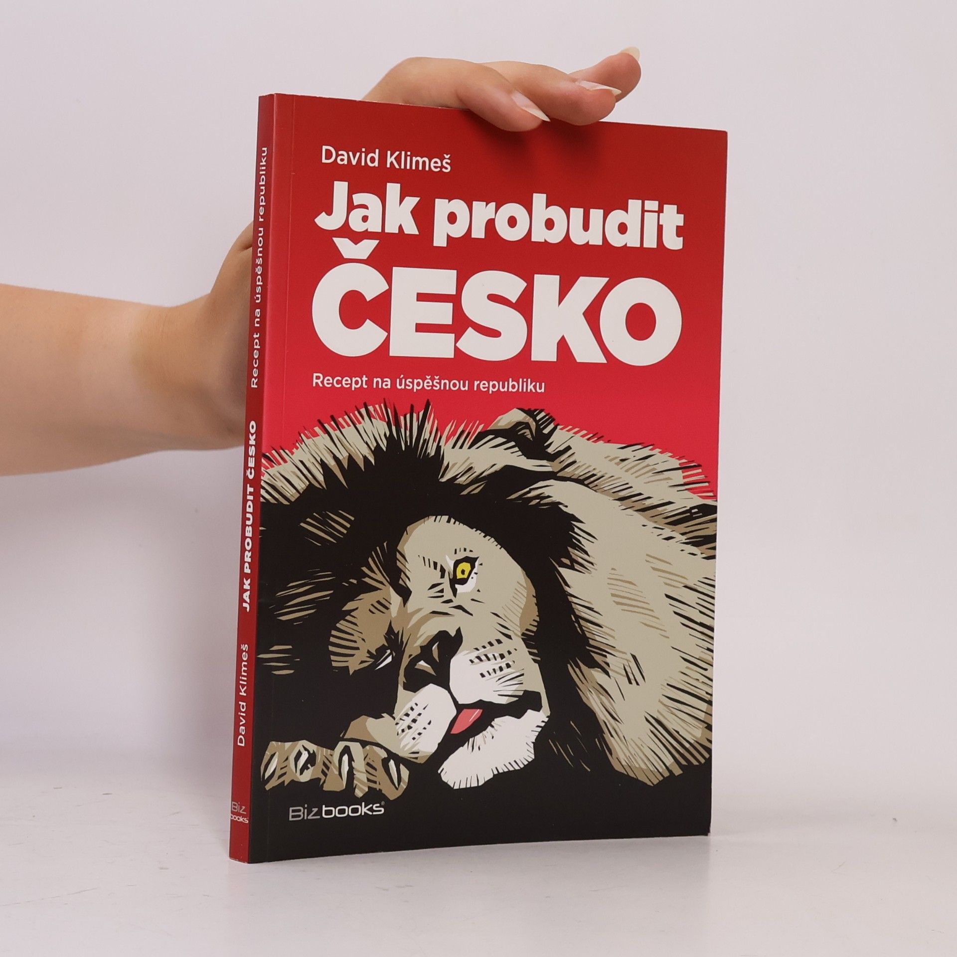 David Klimeš Jak probudit Česko. Recept na úspěšnou republiku