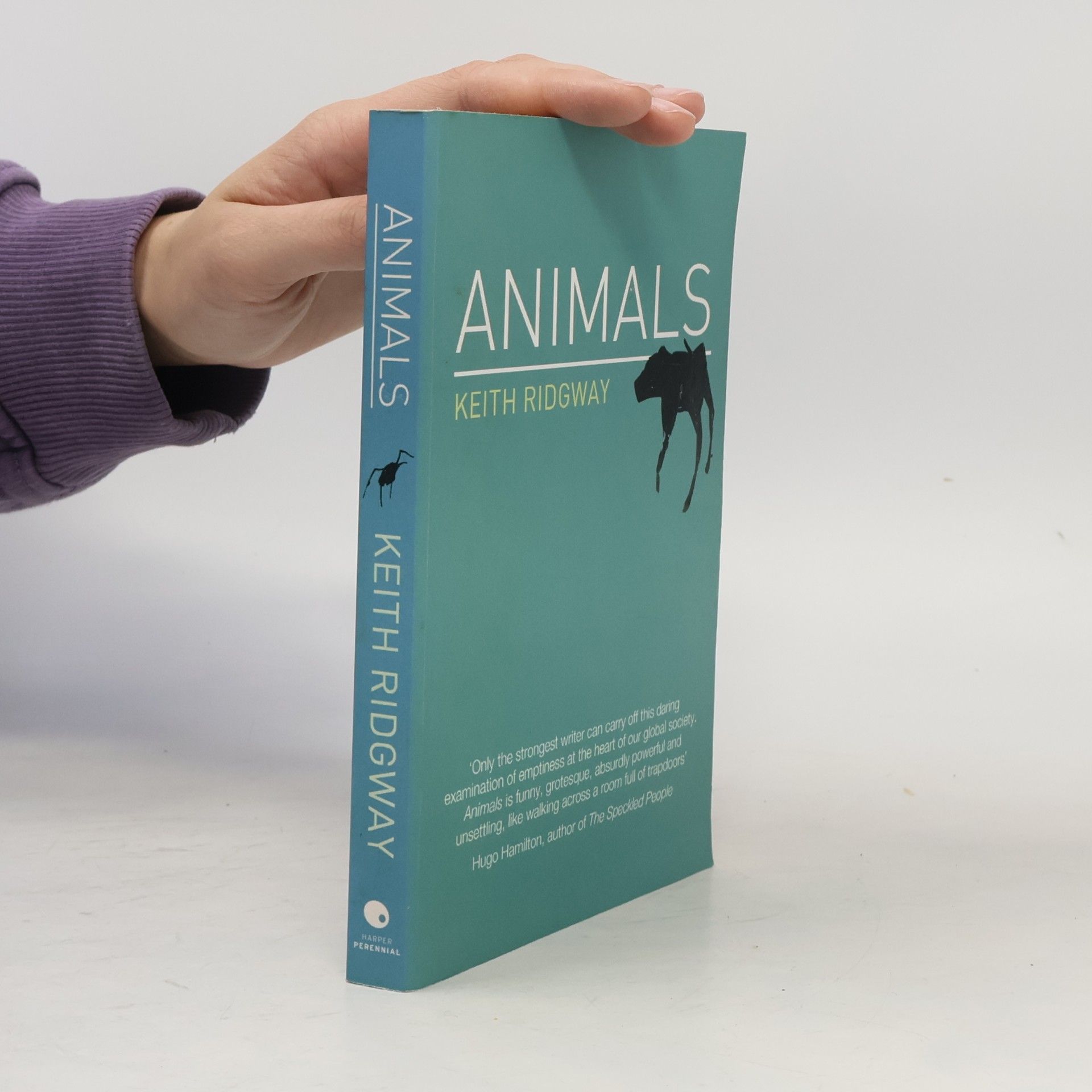 Keith Ridgway Animals