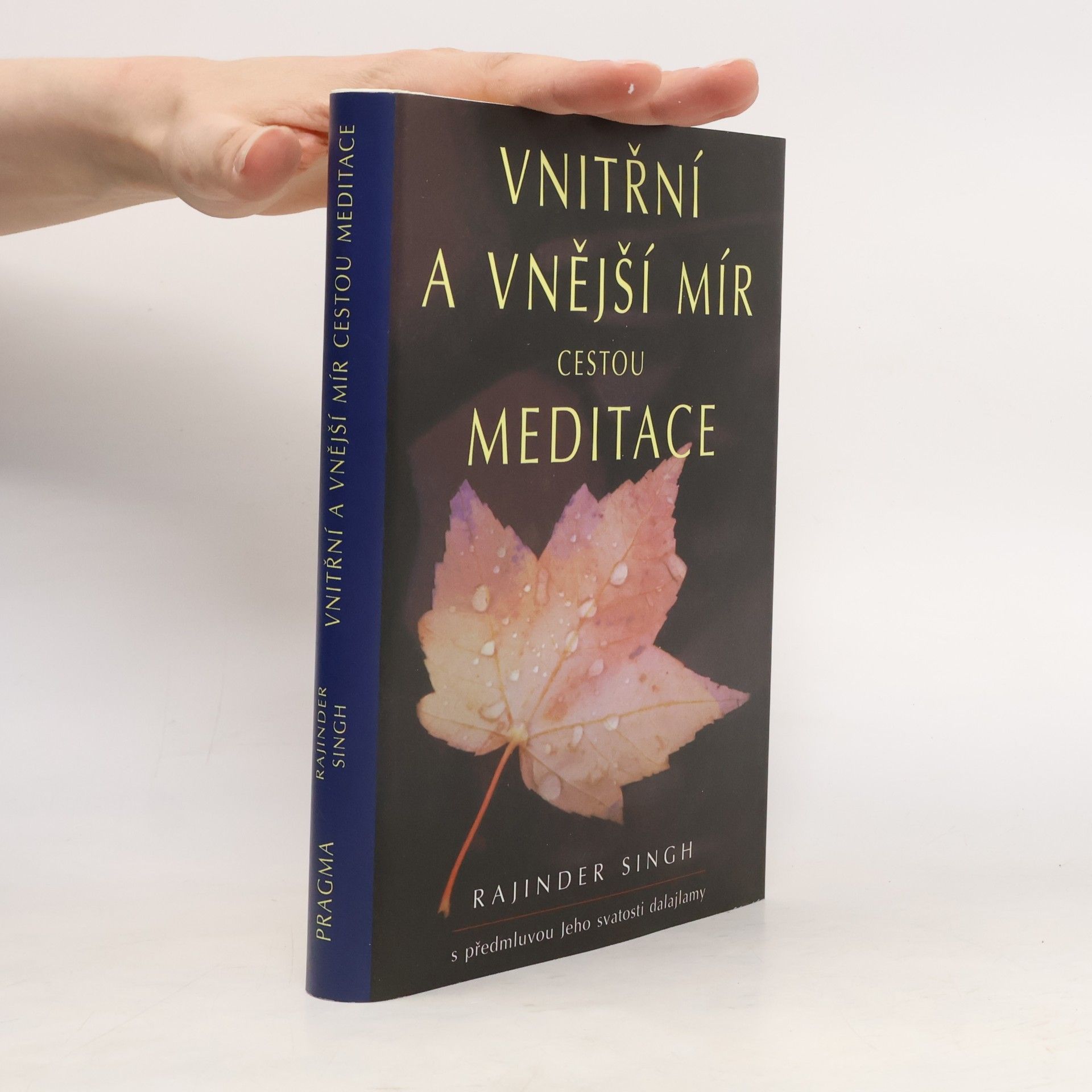 Rajinder Singh Vnitřní a vnější mír cestou meditace