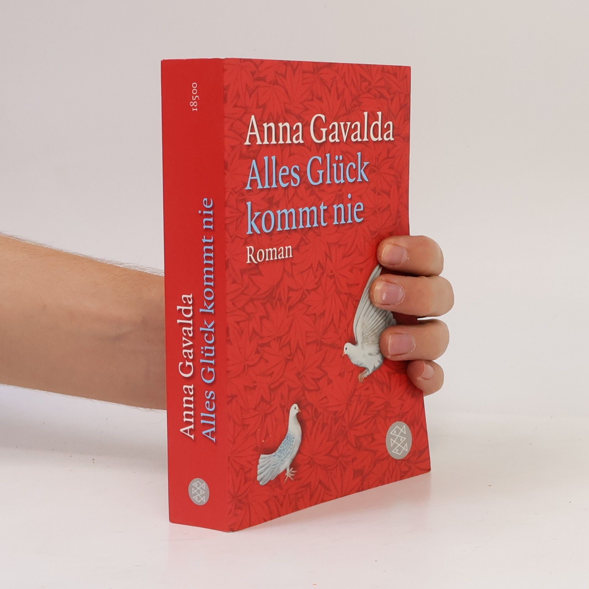 Anna Gavalda Alles Glück kommt nie