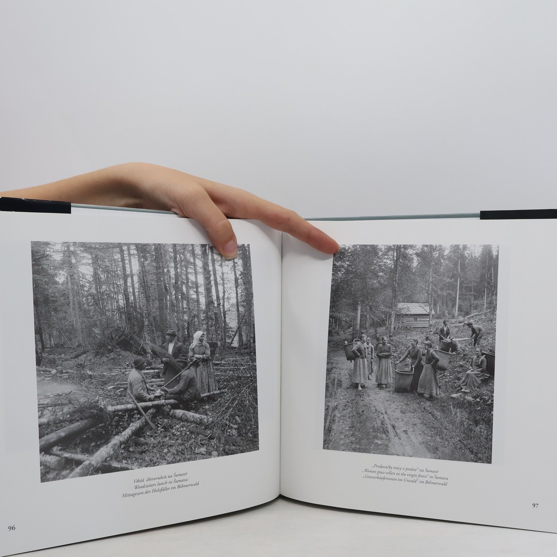 Pavel Scheufler František Krátký : český fotograf před sto lety