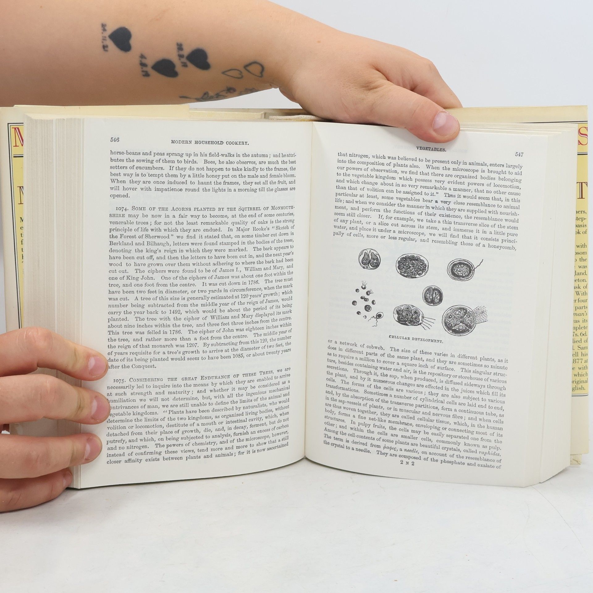 Isabella Beeton Mrs. Beeton's Book of Household Management