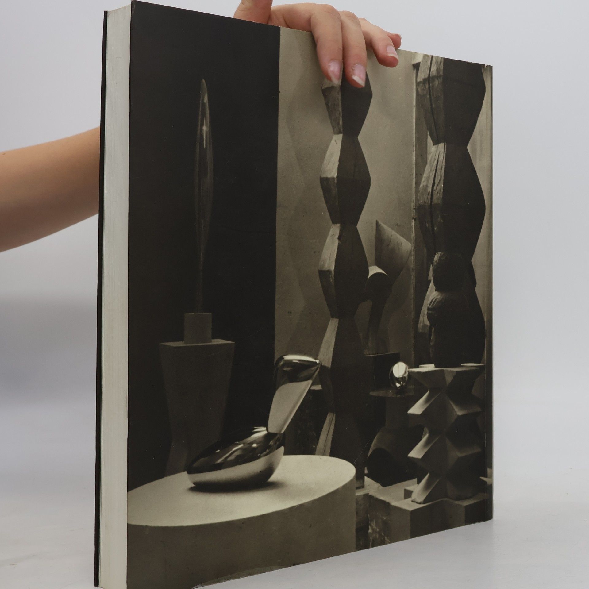 AA.VV. Brancusi