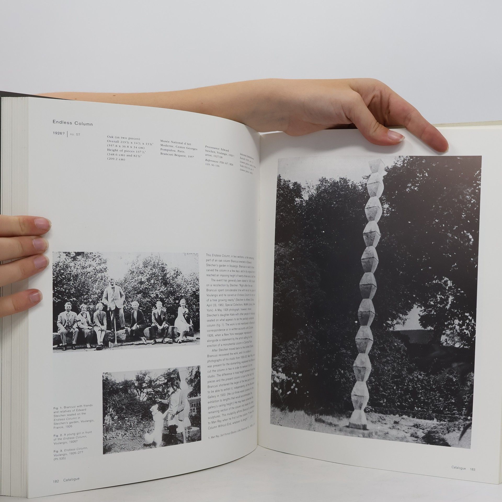 AA.VV. Brancusi