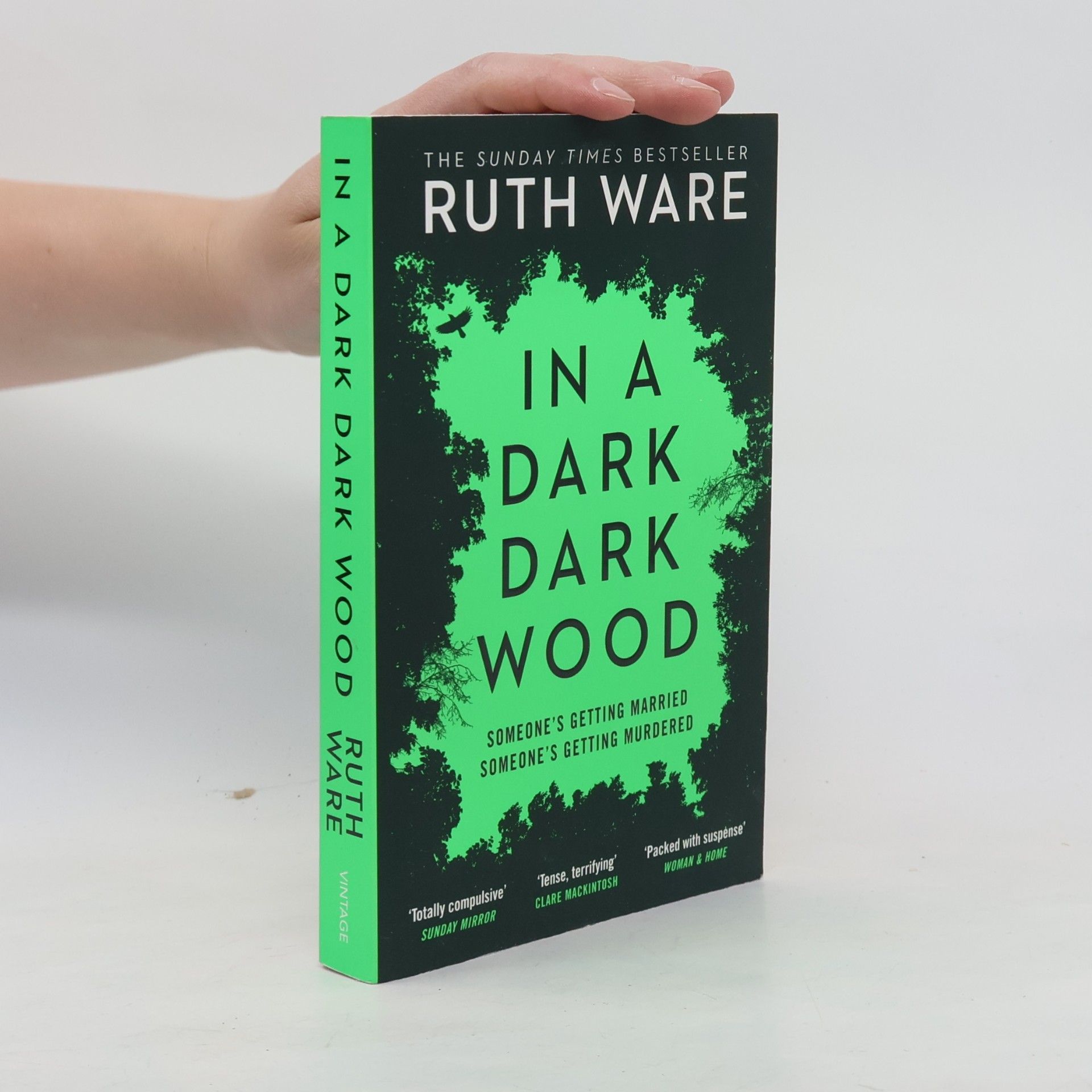 In a dark, dark wood