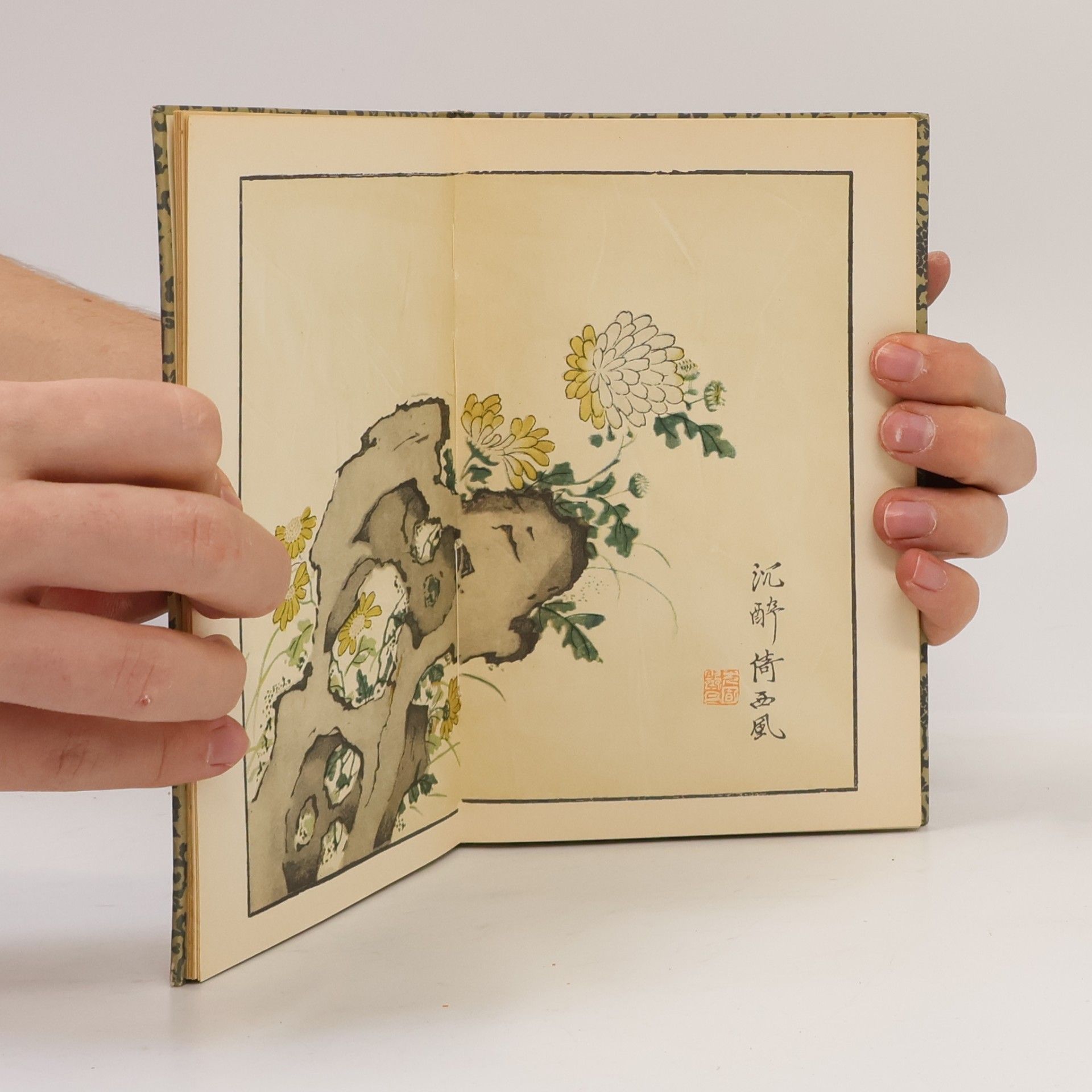 Kolektív autorov Chinesische Holzchnitte