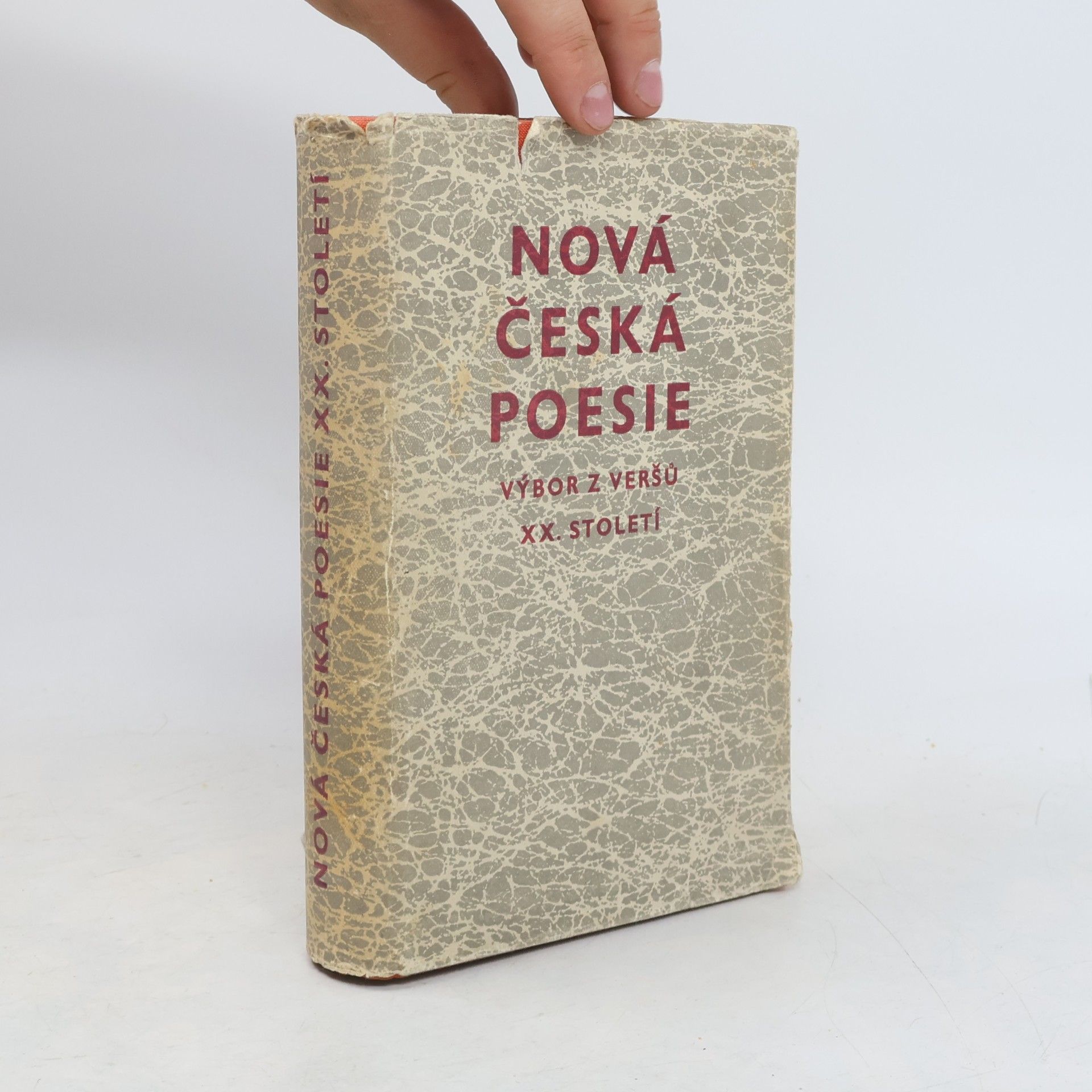 František Buriánek Nová česká poesie