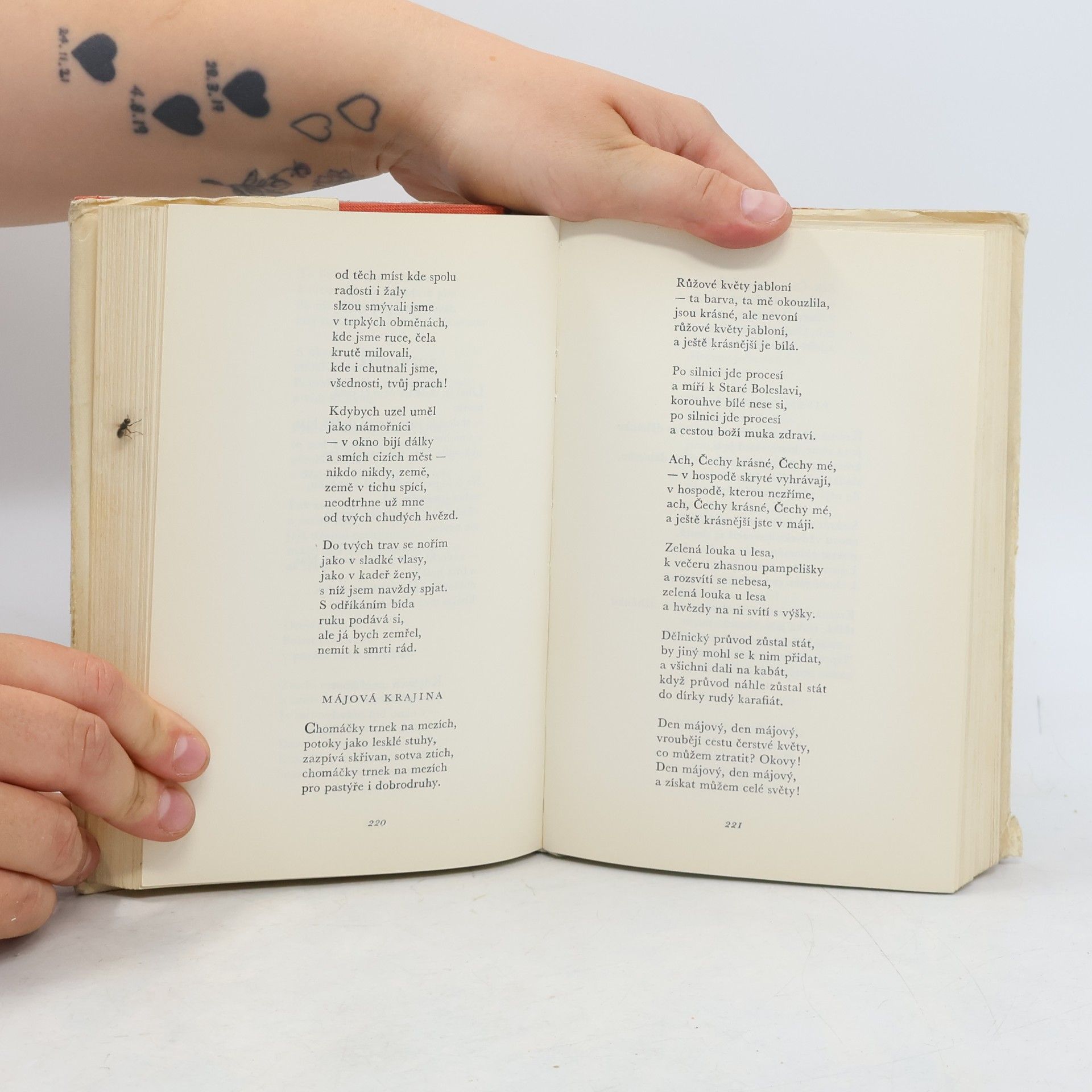 František Buriánek Nová česká poesie