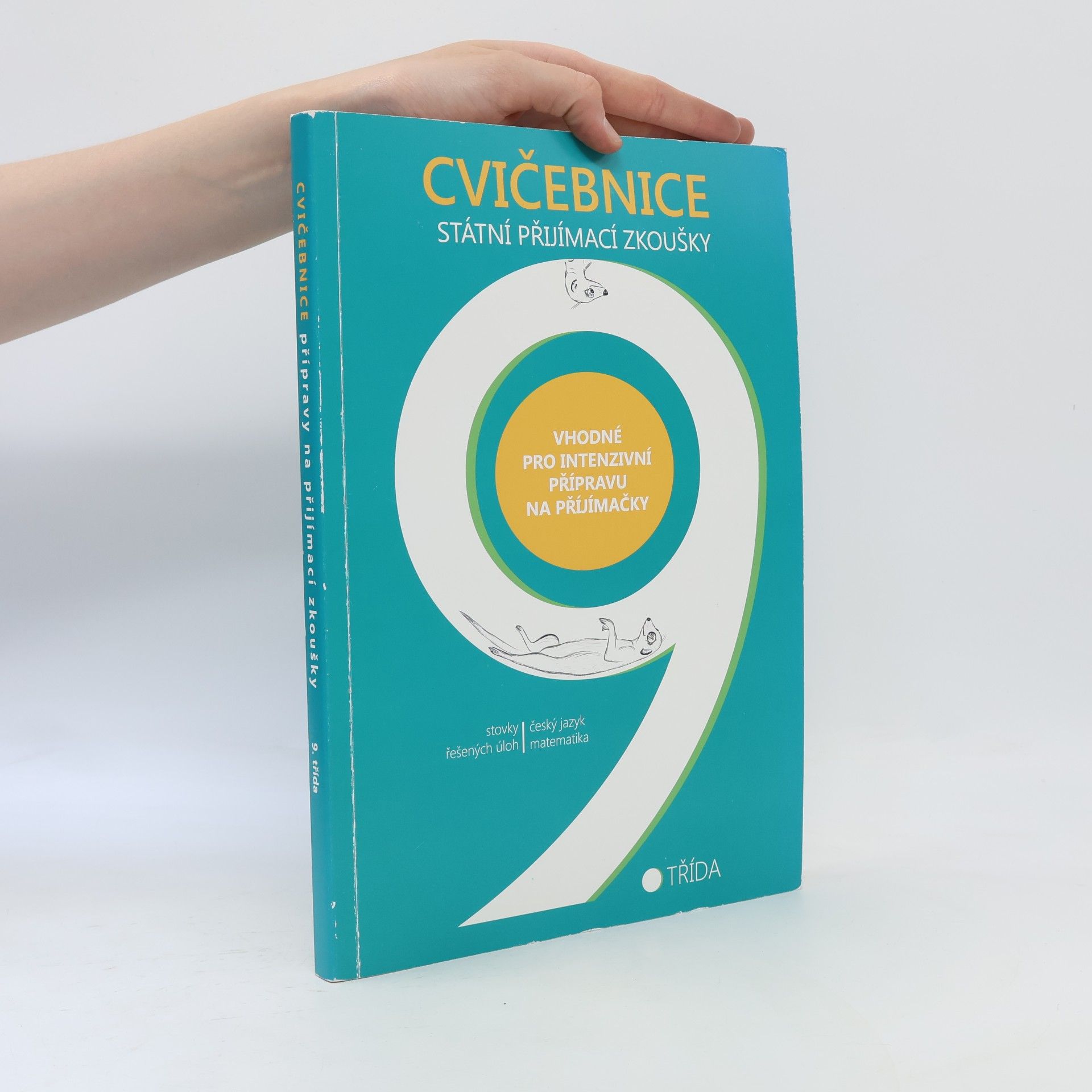 Auteurscollectief Cvičebnice 9 - státní přijímací zkoušky