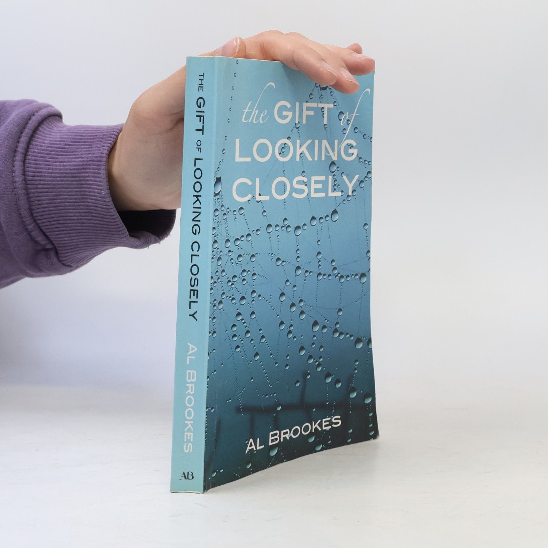 Al Brookes The Gift of Looking Closely