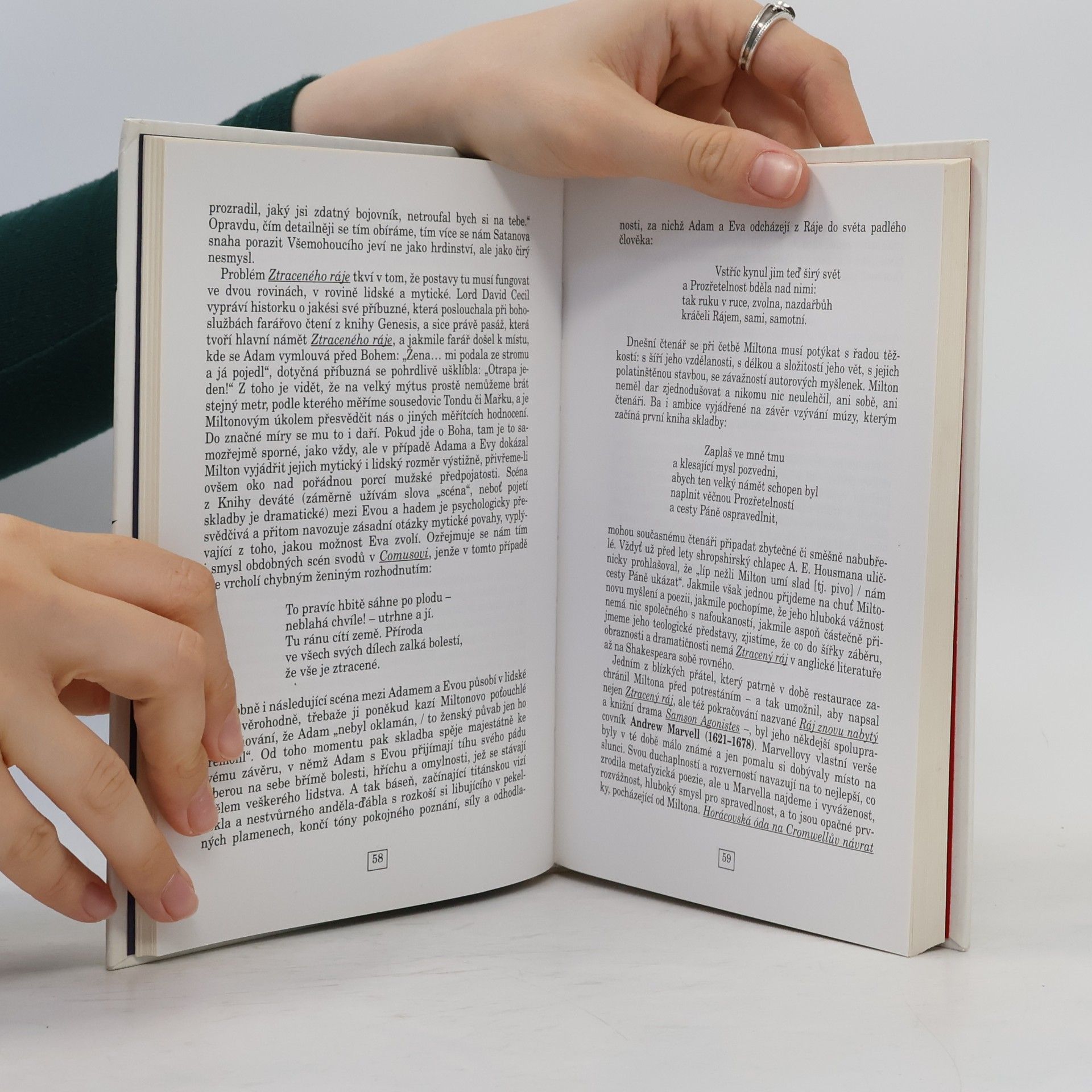 Bernard Bastable Stručné dějiny anglické literatury