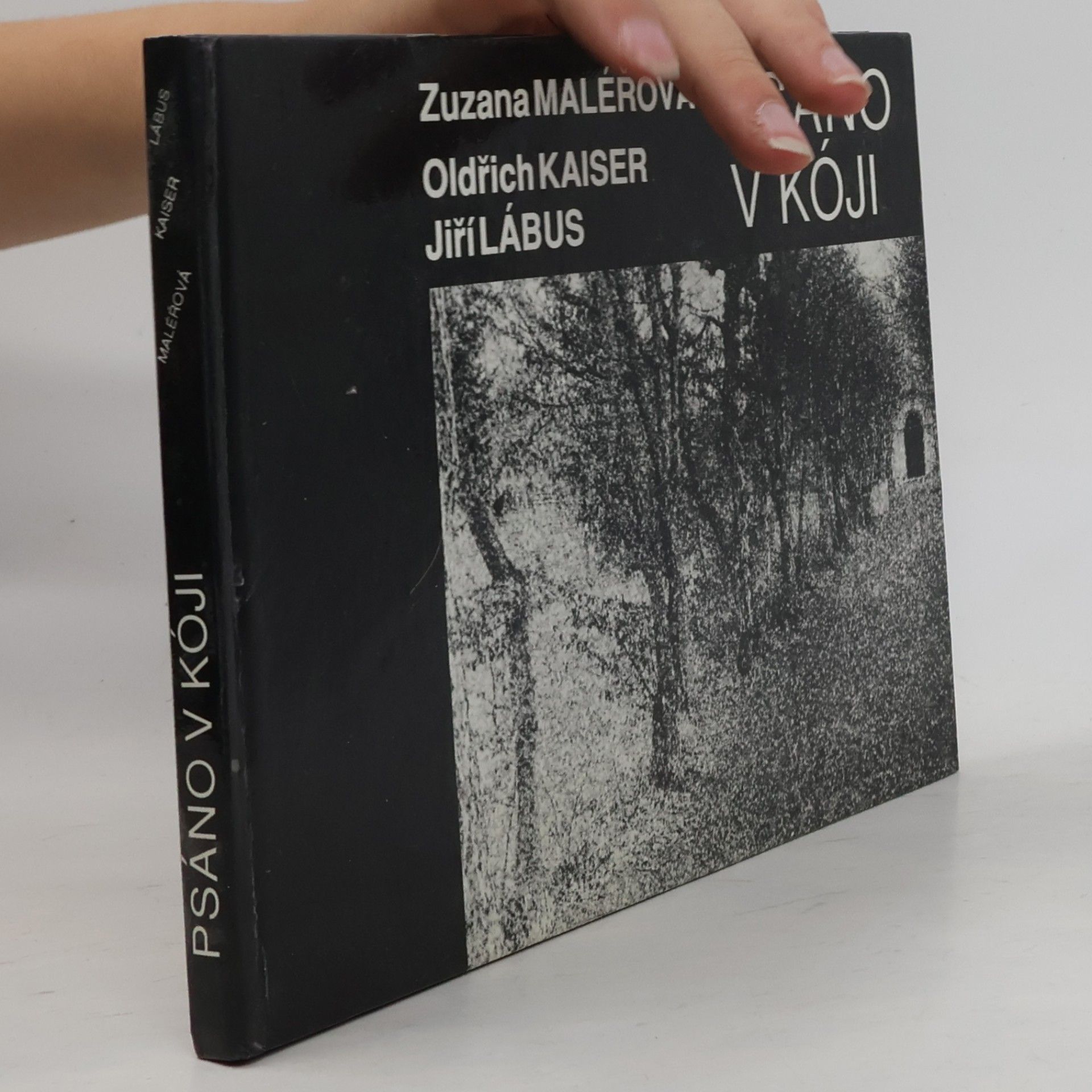Psáno v kóji