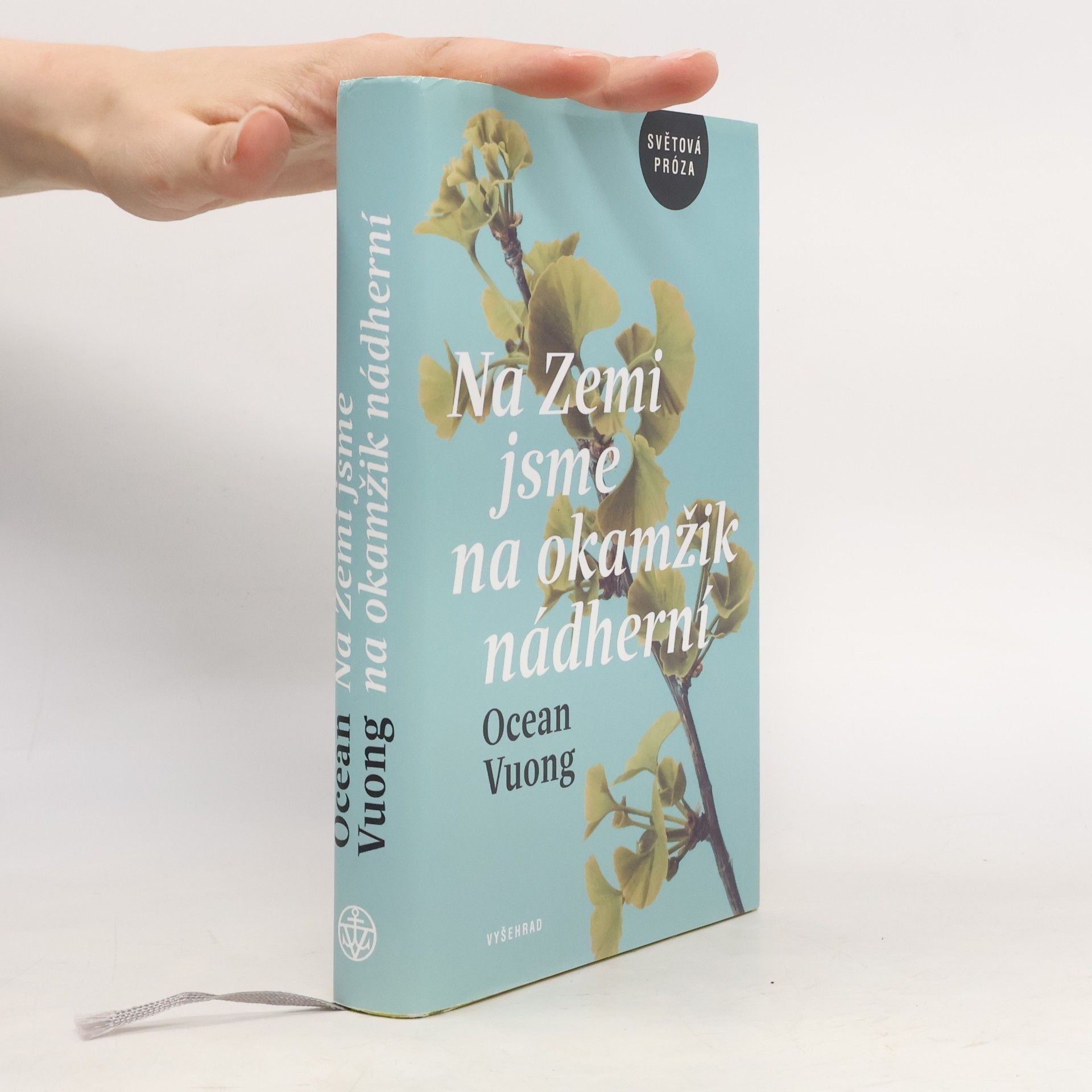 Ocean Vuong Na Zemi jsme na okamžik nádherní