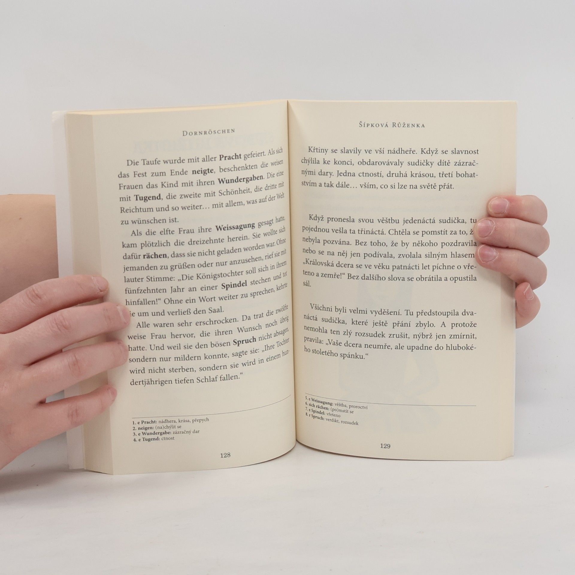 Jacob Grimm Aschenputtel und andere Märchen, Popelka a jiné pohádky