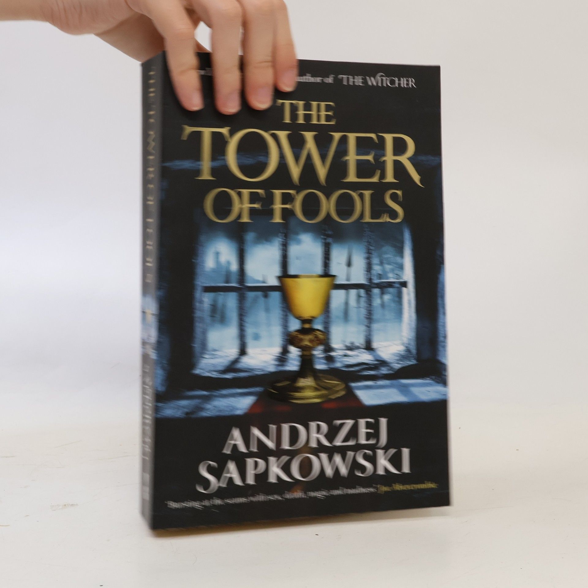 Andrzej Sapkowski The Tower of Fools