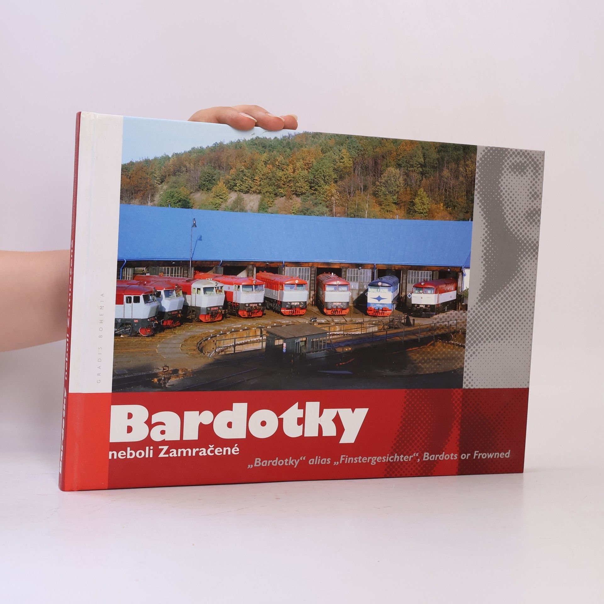 Leoš Tomančák Bardotky neboli Zamračené