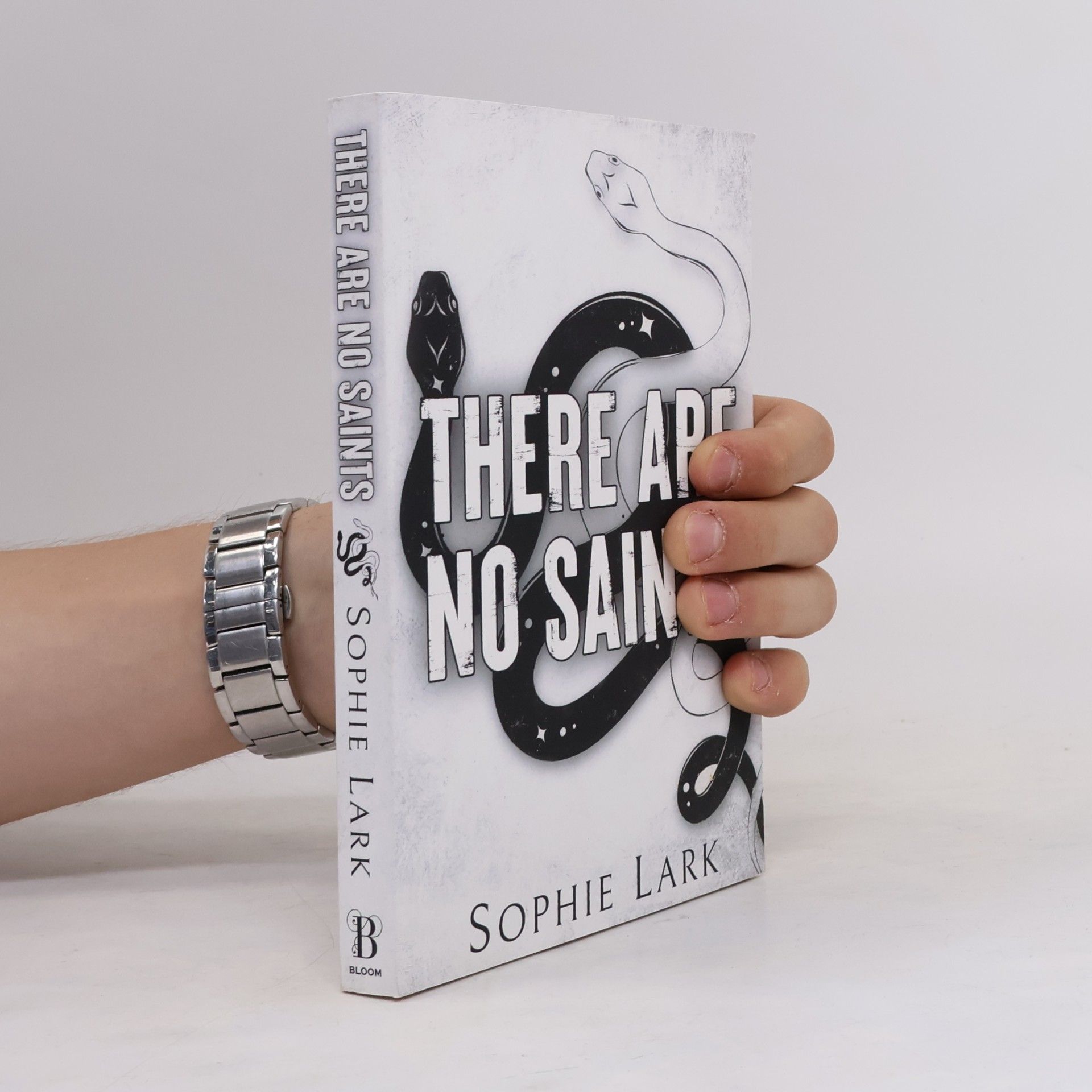 Sophie Lark There Are No Saints