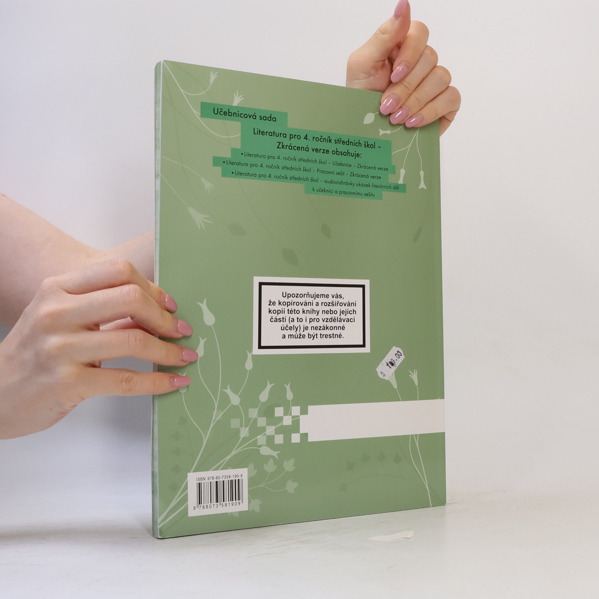 Denisa Nečasová Literatura pro 4. ročník středních škol. Pracovní sešit