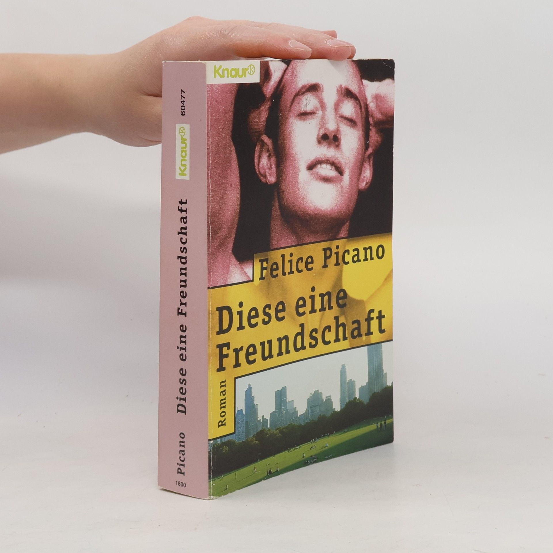 Felice Picano Diese eine Freundschaft