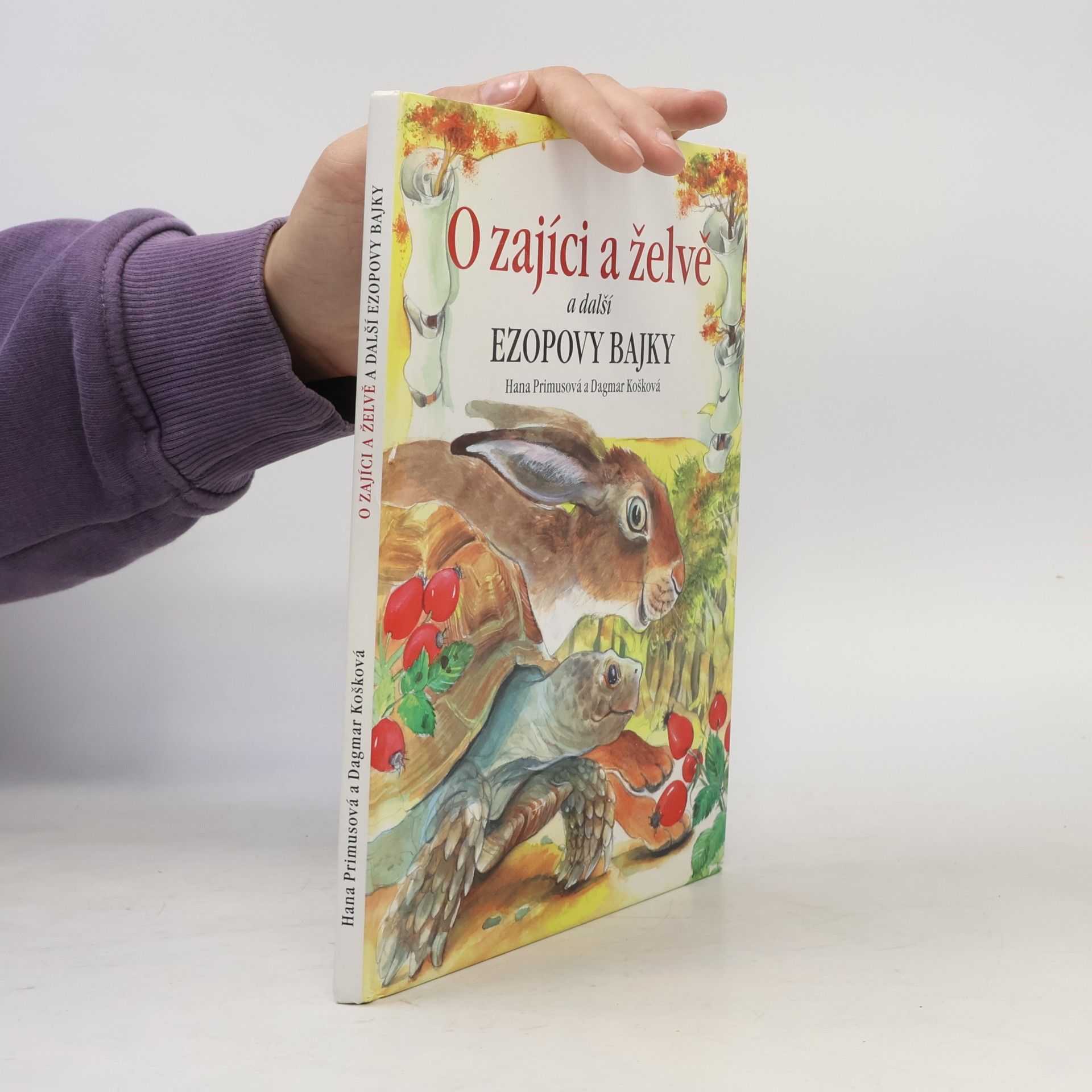 Hana Primusová O zajíci a želvě a další Ezopovy bajky