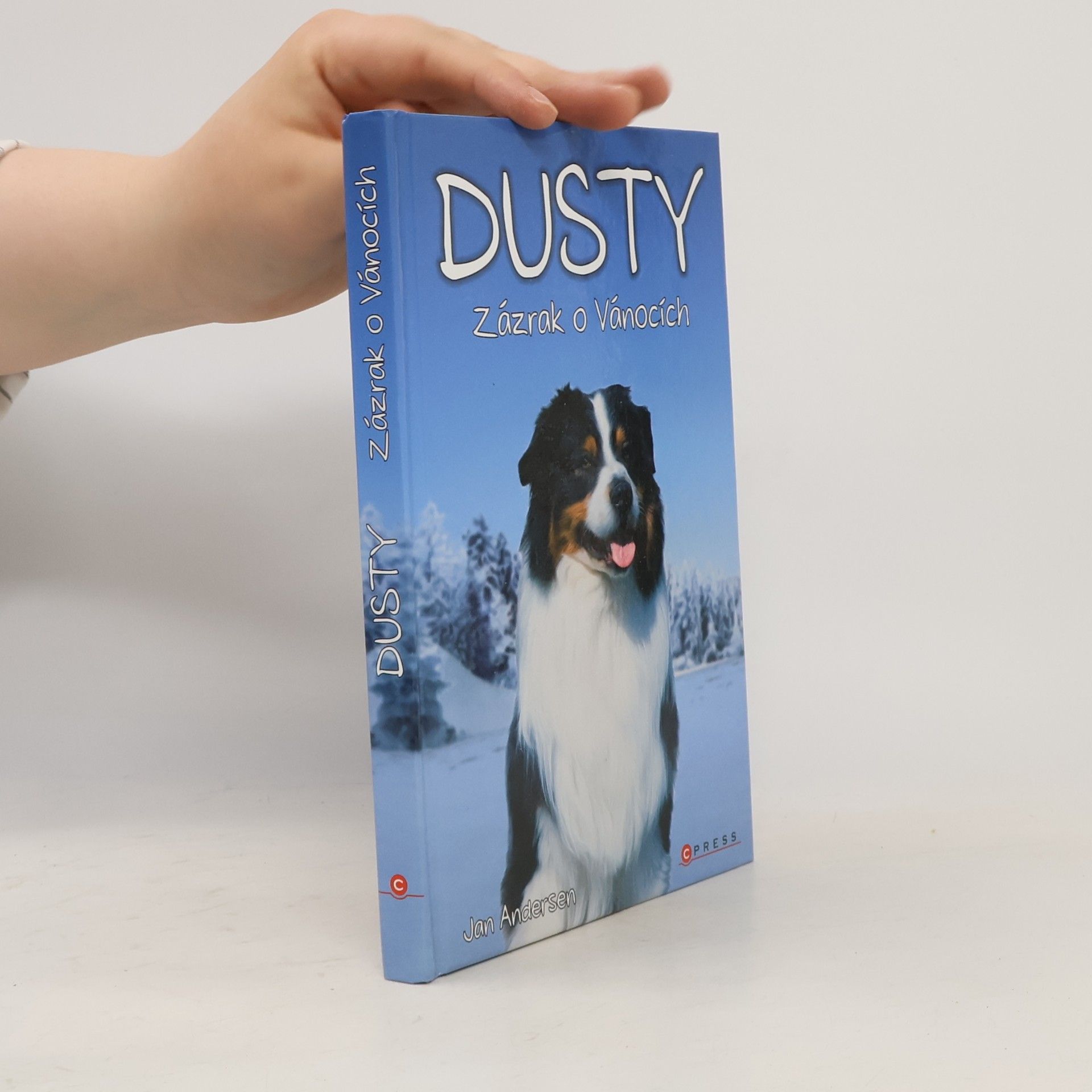 Wolfram Hänel Dusty: Zázrak o Vánocích