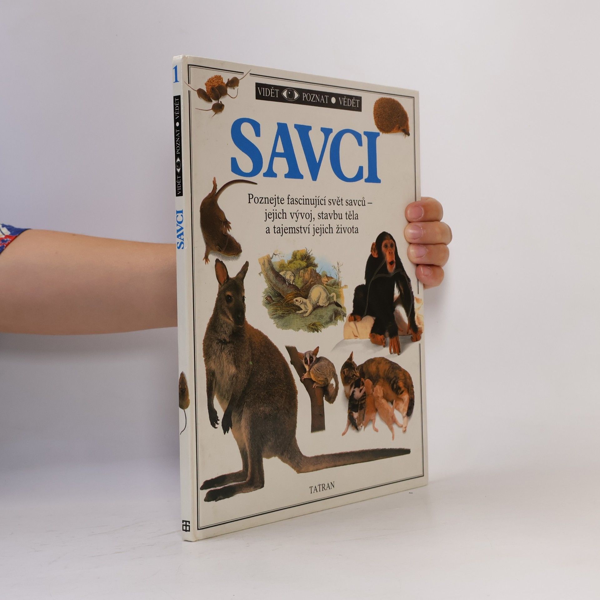 Steve Parker Savci