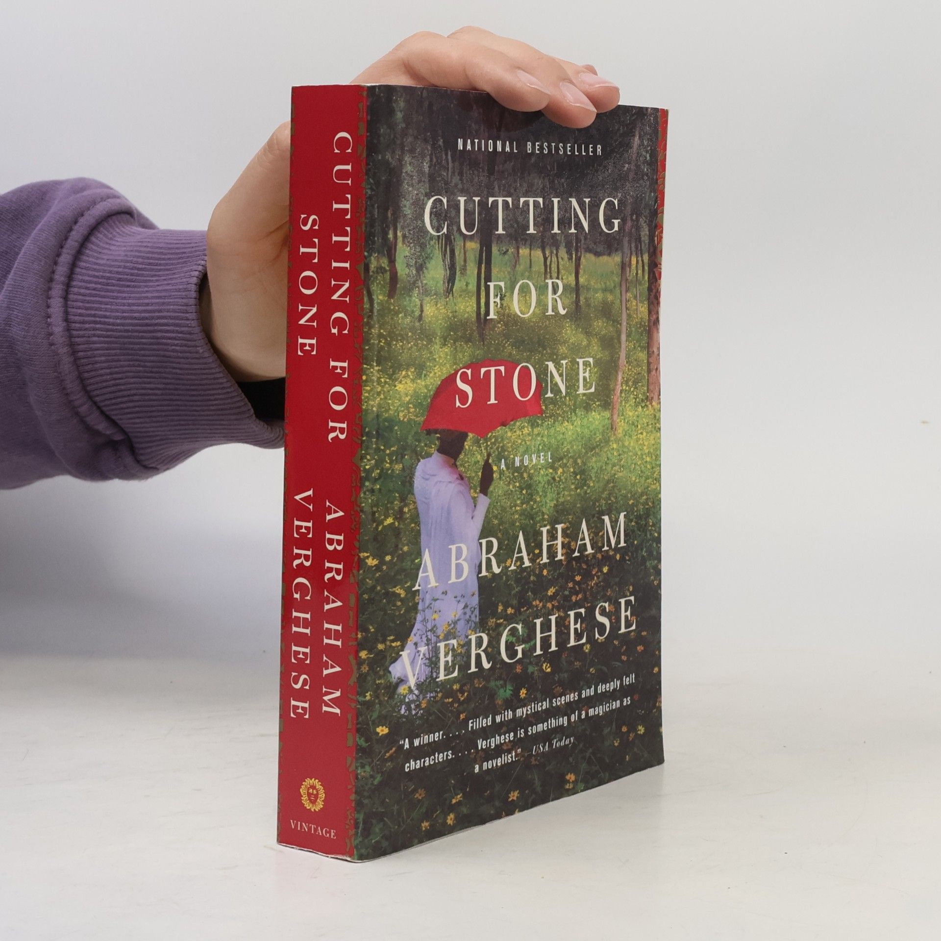 Abraham Verghese Cutting for Stone