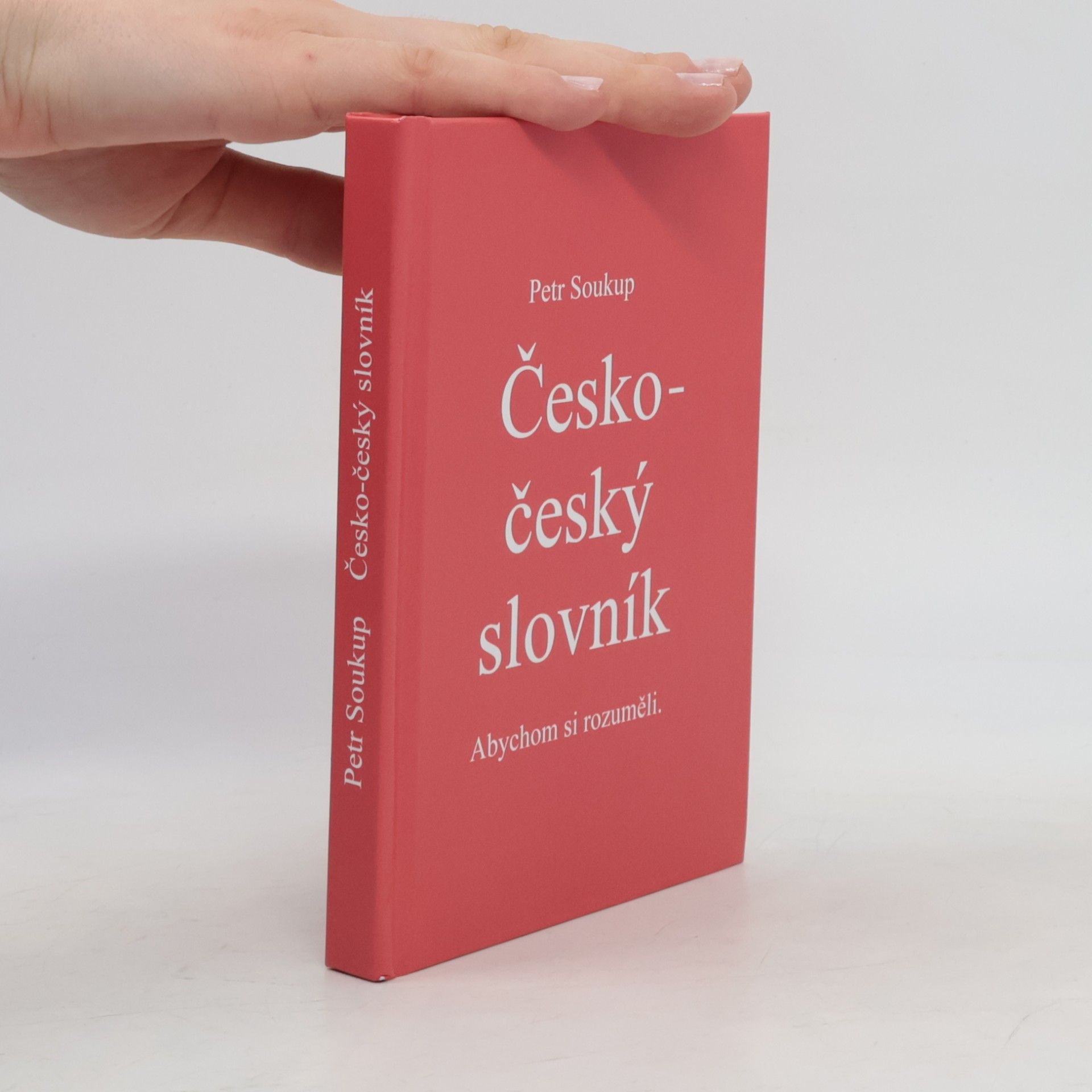 Petr Soukup Česko-český slovník. Abychom si rozuměli