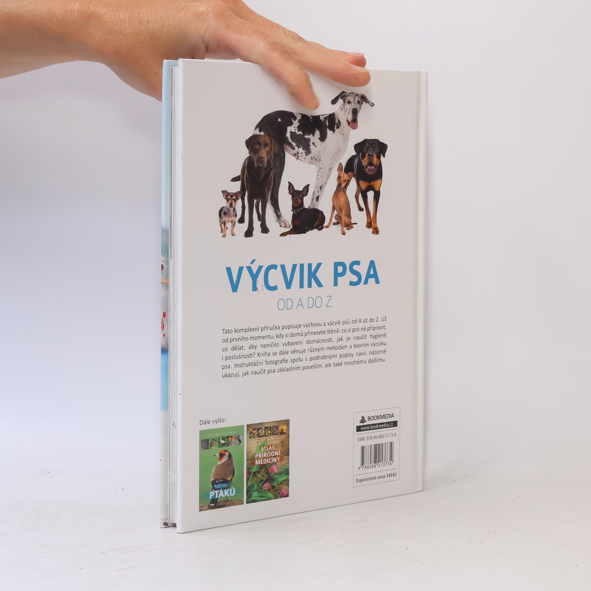 Anna Biziorek Výcvik psa od A do Z