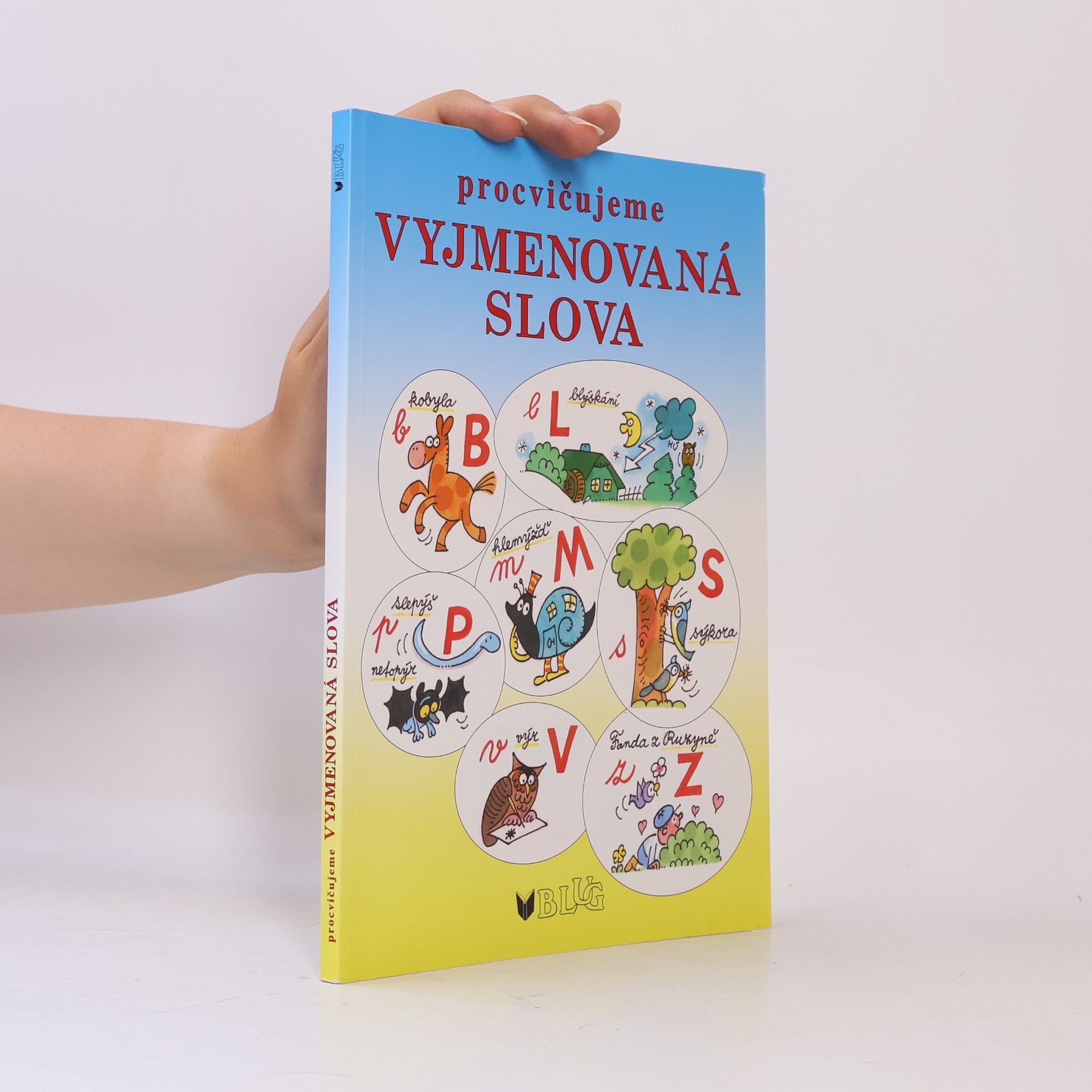 Dana Sklenářová Procvičujeme vyjmenovaná slova - hrajeme si