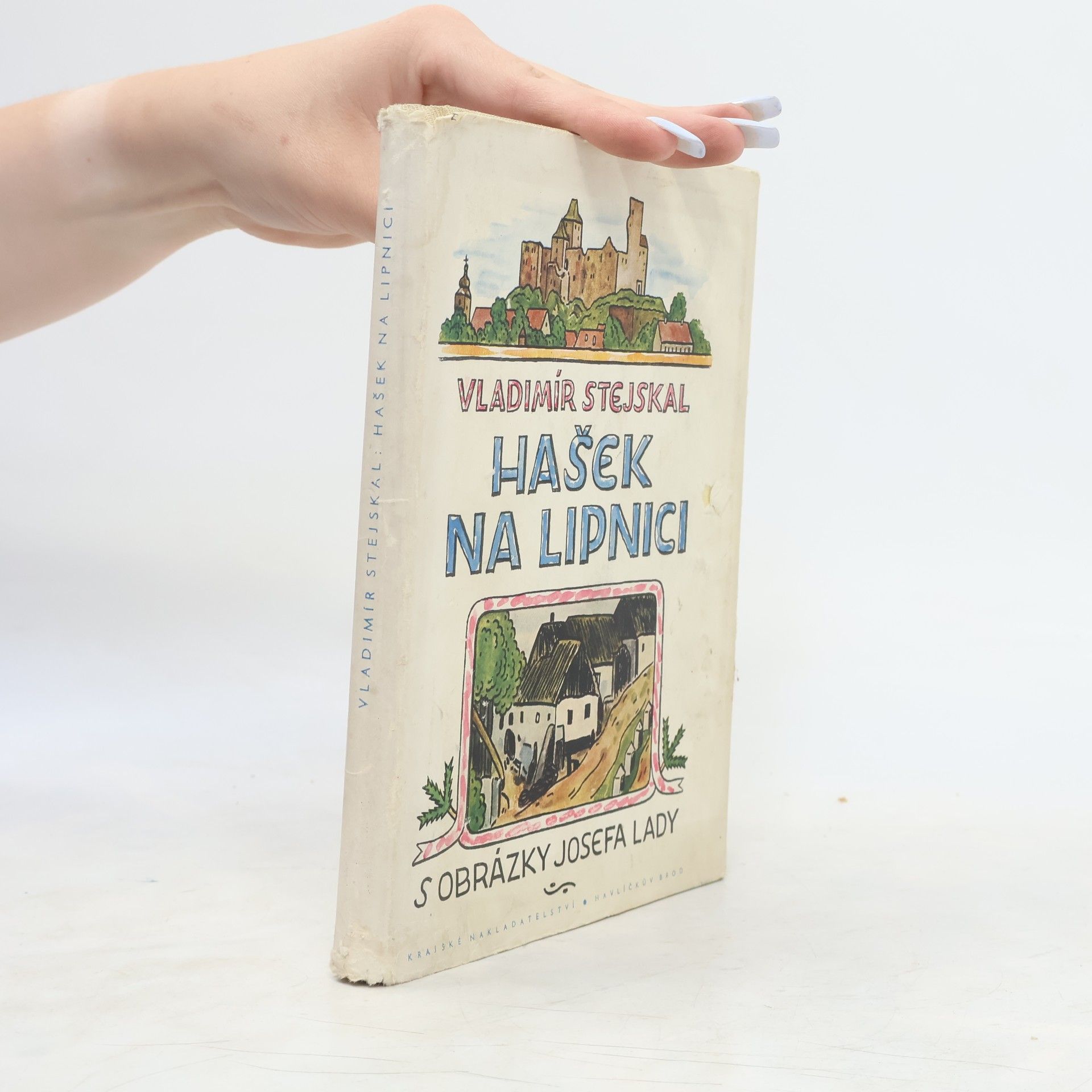 Vladimír Stejskal Hašek na Lipnici