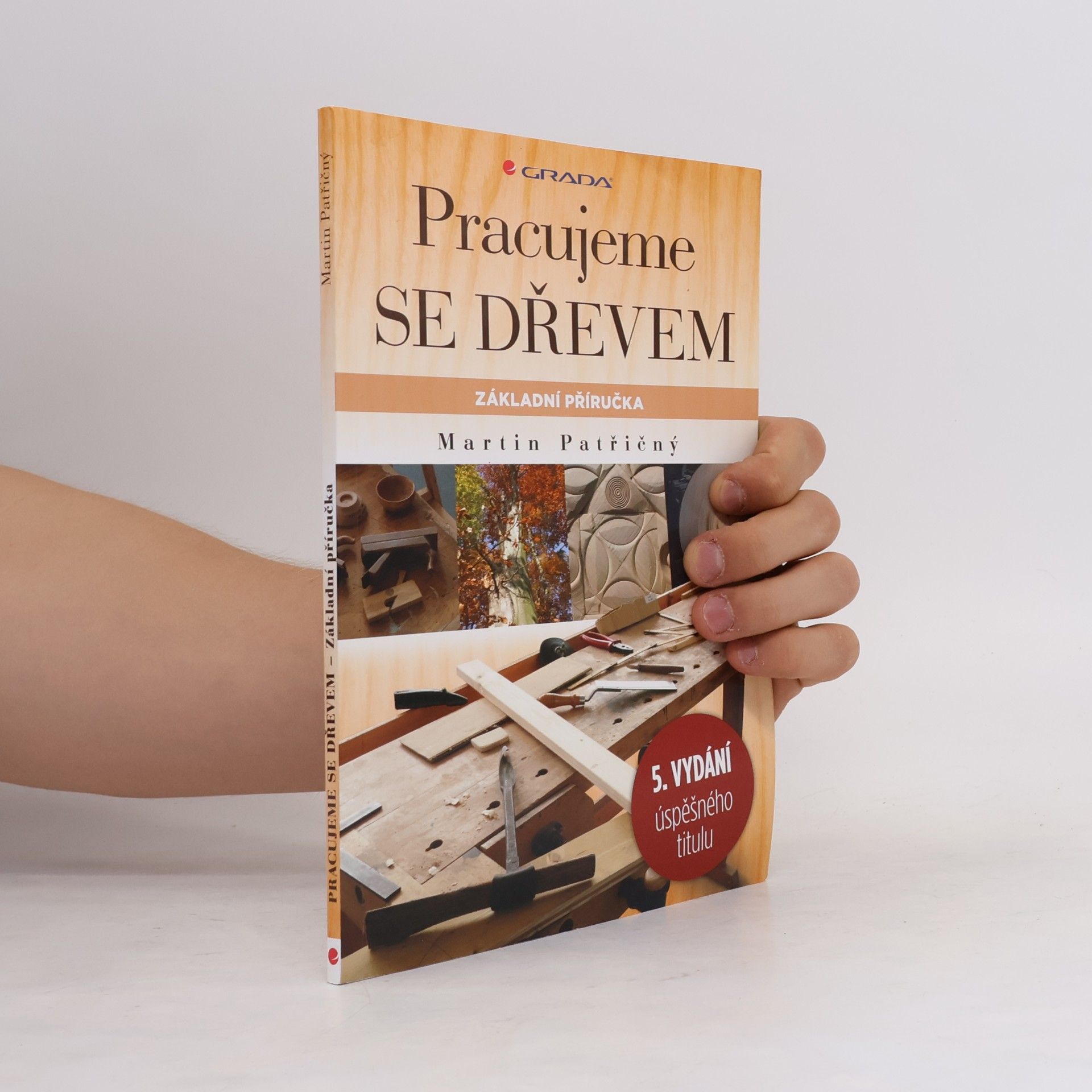 Martin Patřičný Pracujeme se dřevem. Základní příručka